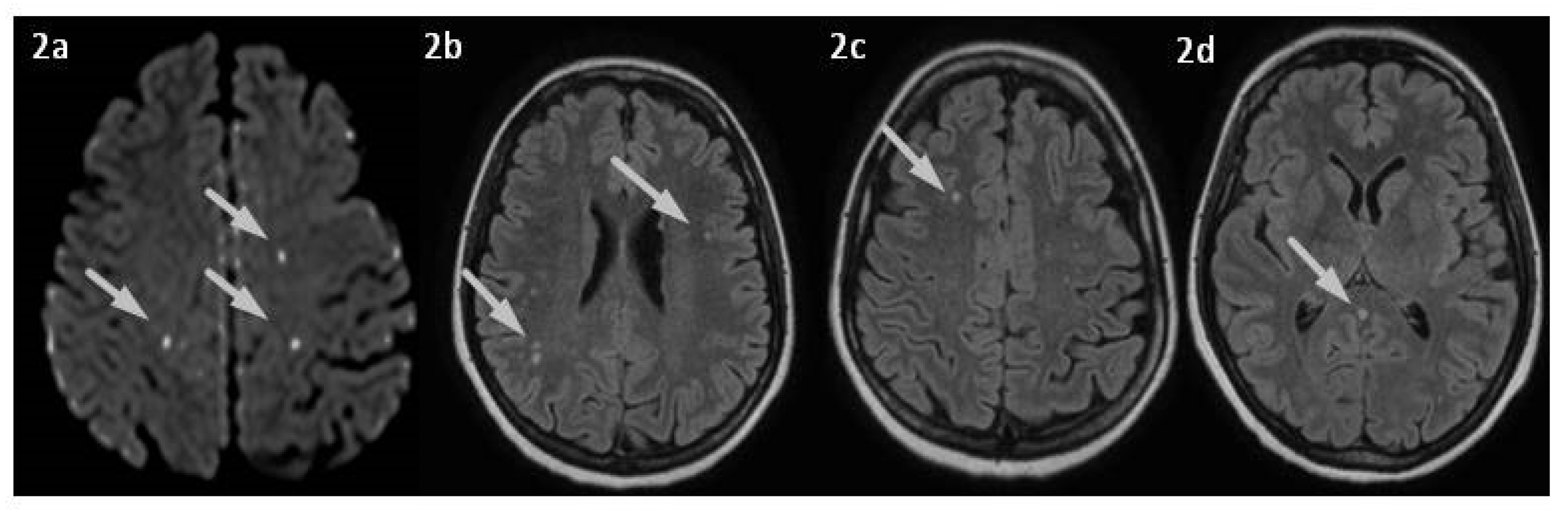 Jpm 13 01557 g002 Jpm 13 01557 g002