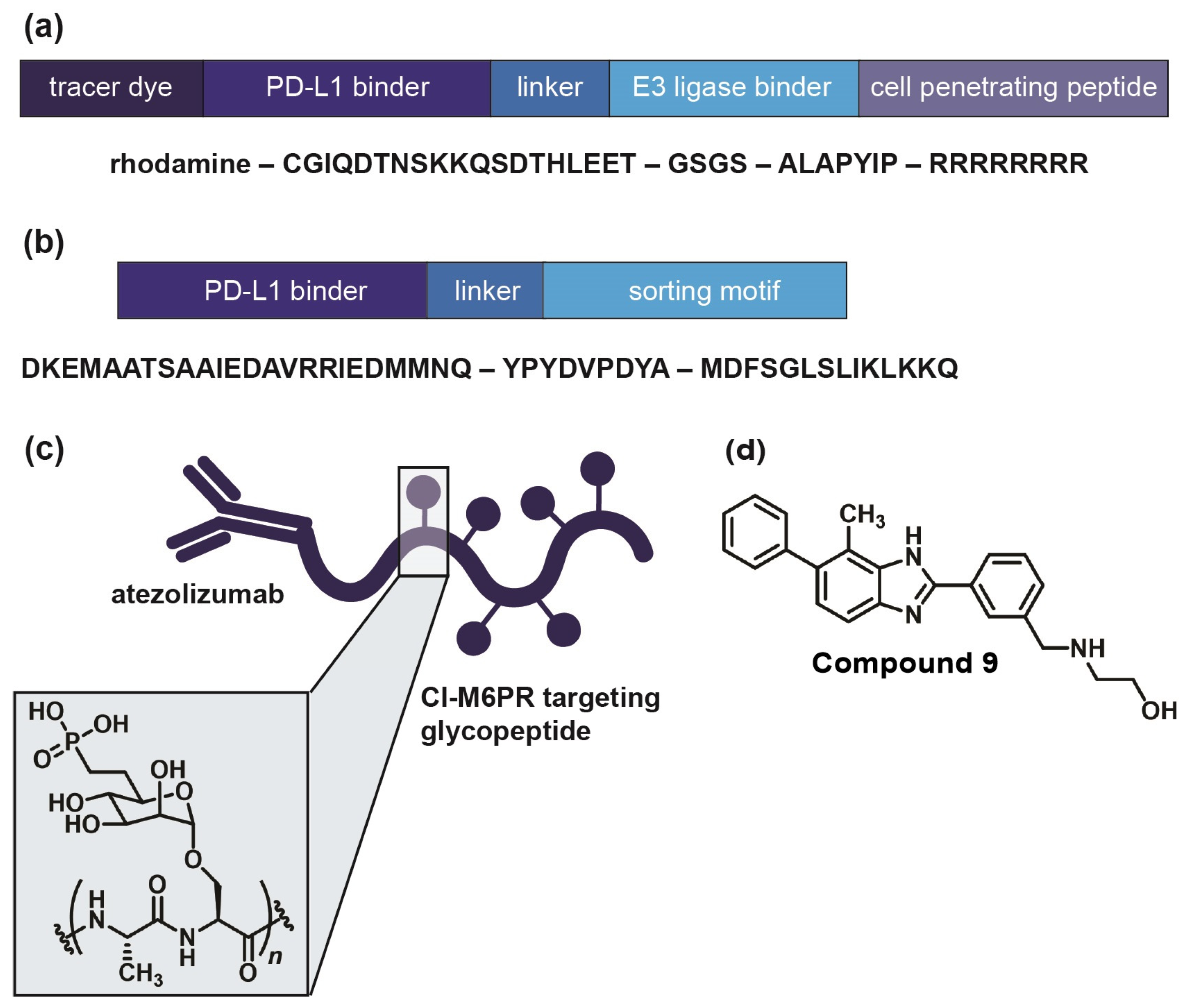 Jpm 14 00068 g005 Jpm 14 00068 g005