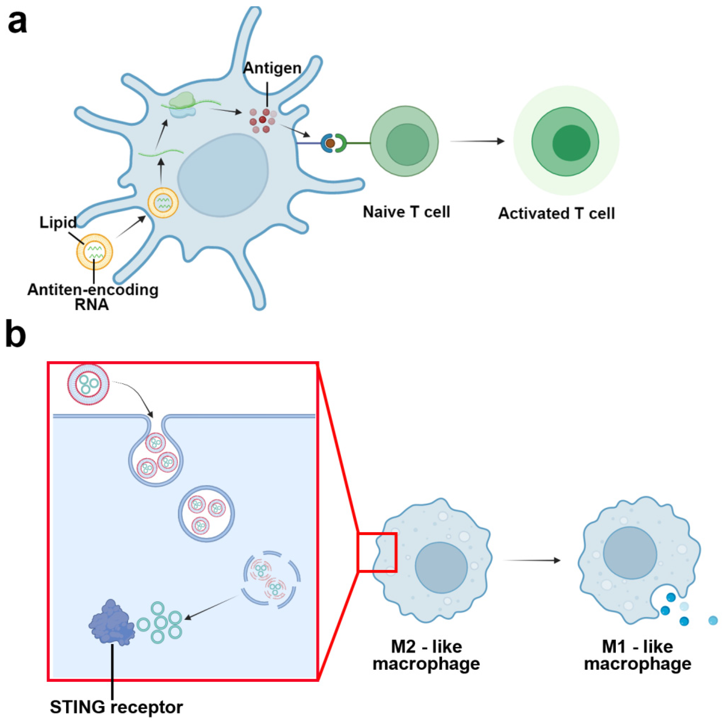 Jpm 14 00068 g007 Jpm 14 00068 g007
