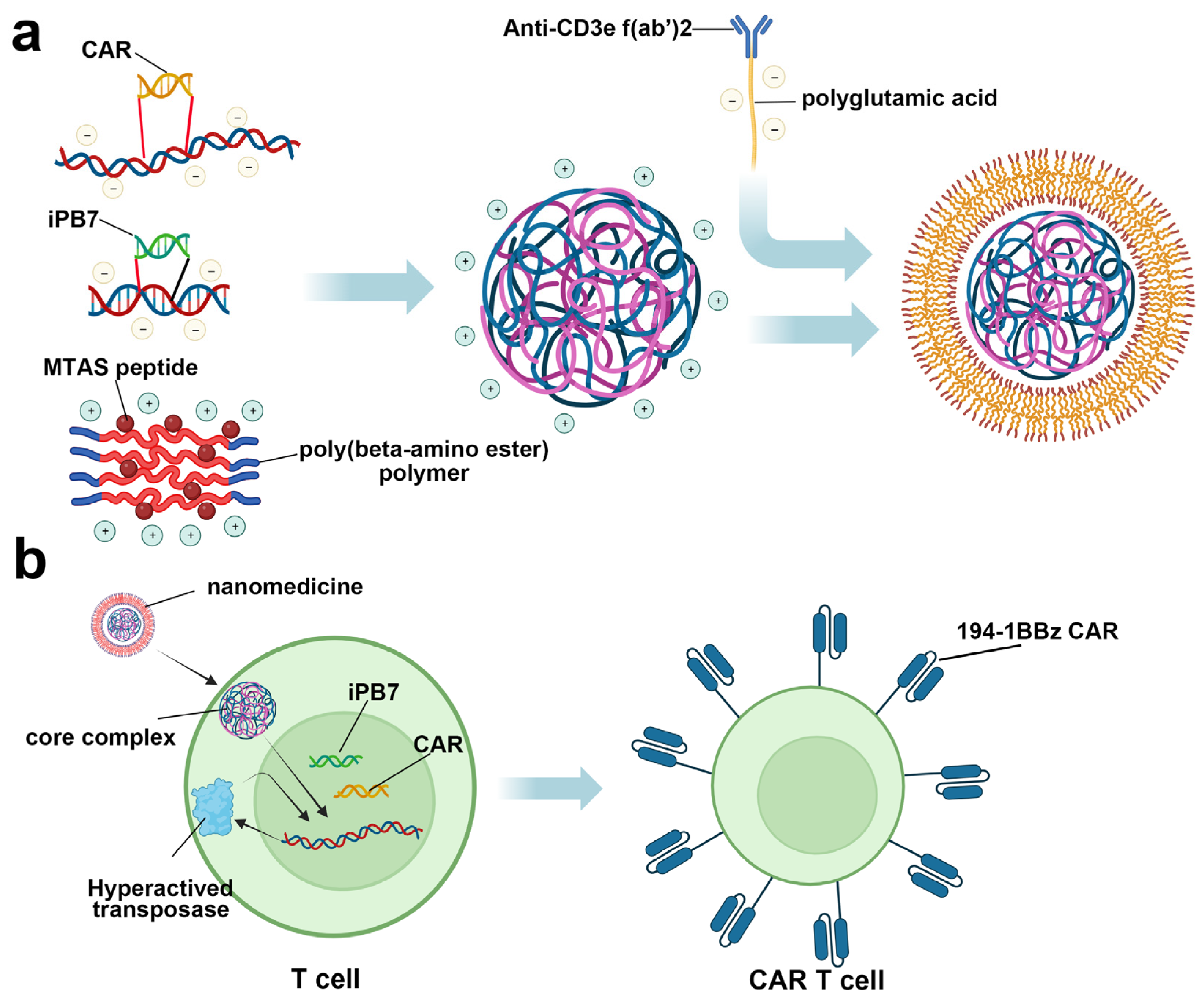 Jpm 14 00068 g008 Jpm 14 00068 g008