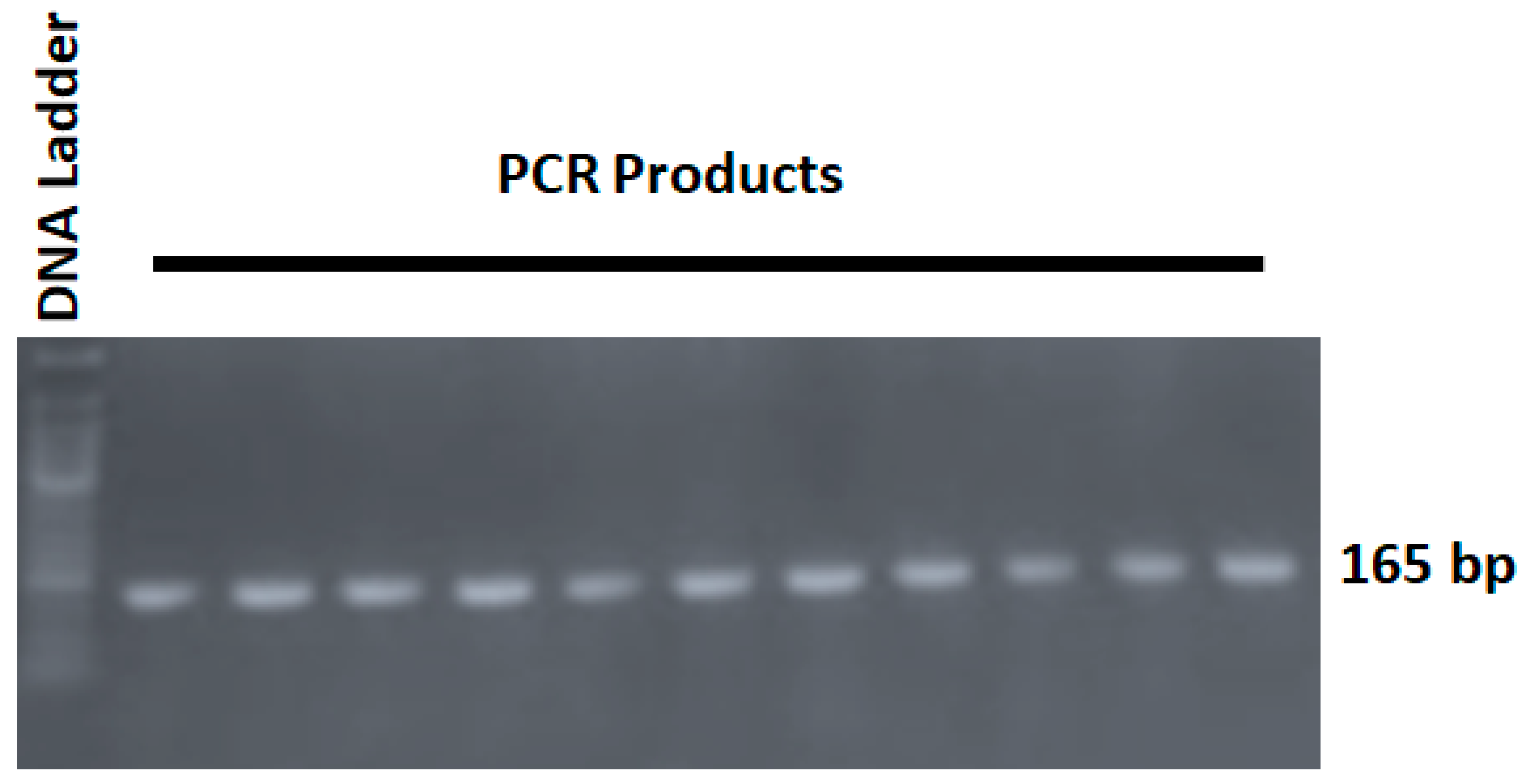 Jpm 14 00273 g001 Jpm 14 00273 g001