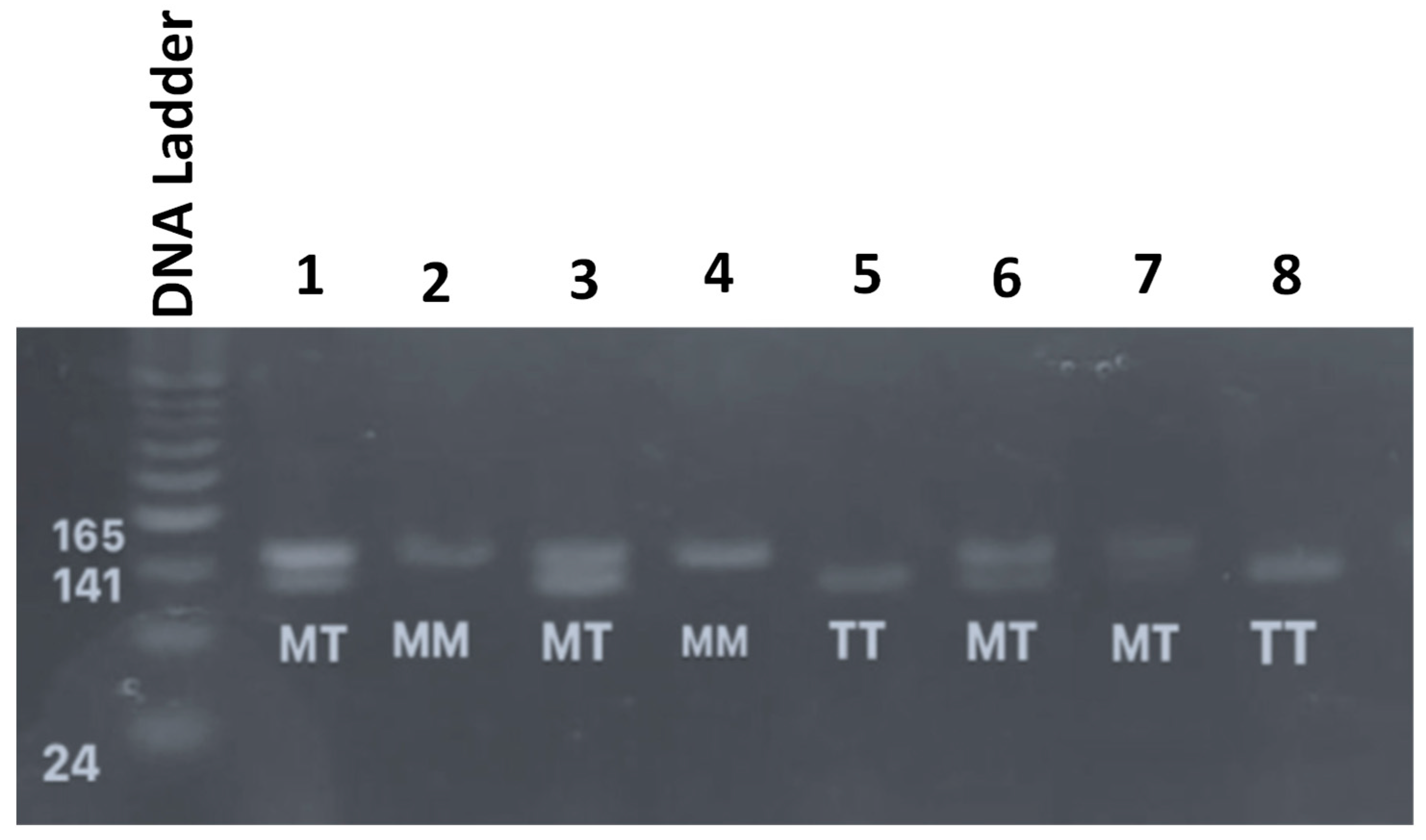 Jpm 14 00273 g002 Jpm 14 00273 g002