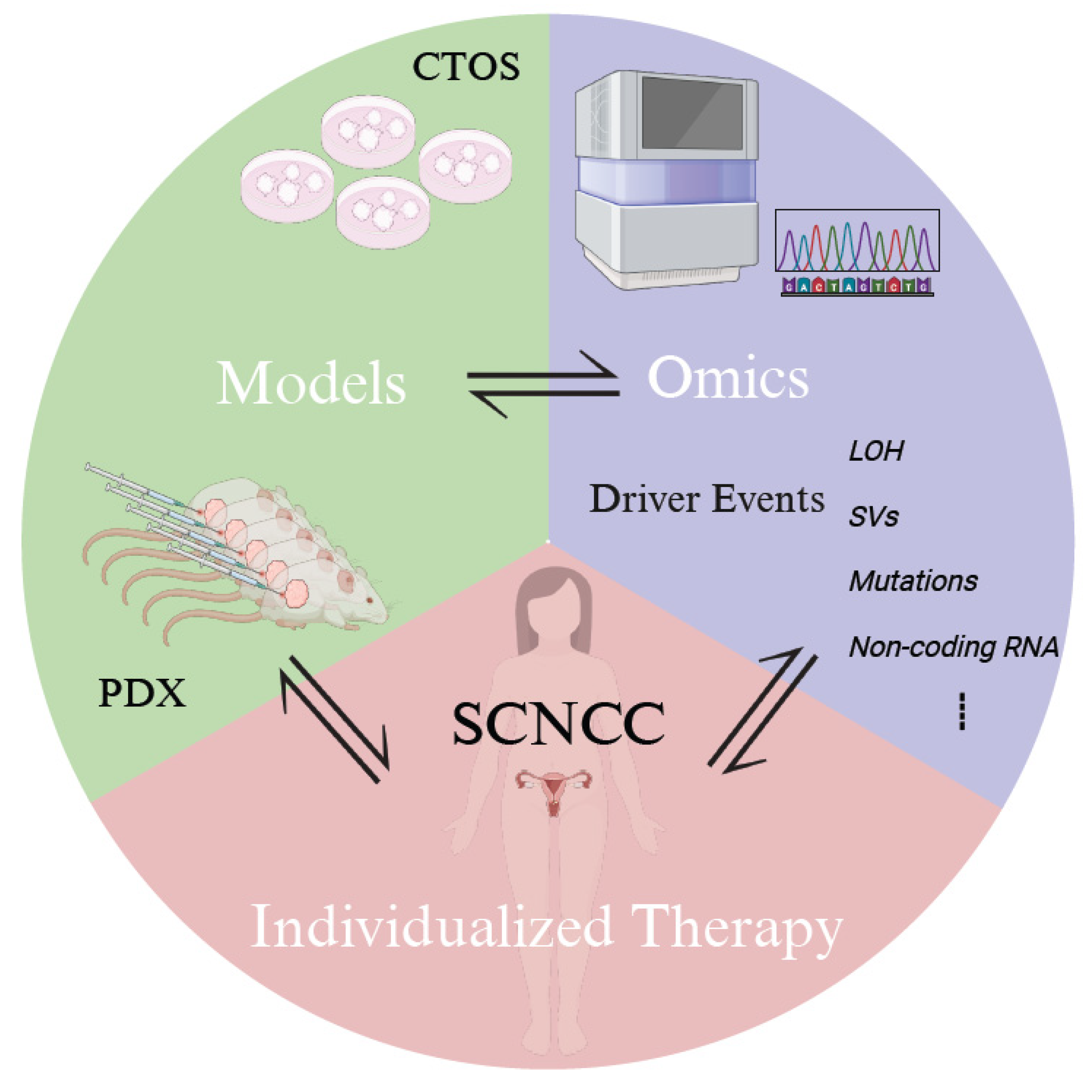 JPM | Free Full-Text | Advancements in the Understanding of Small-Cell ...