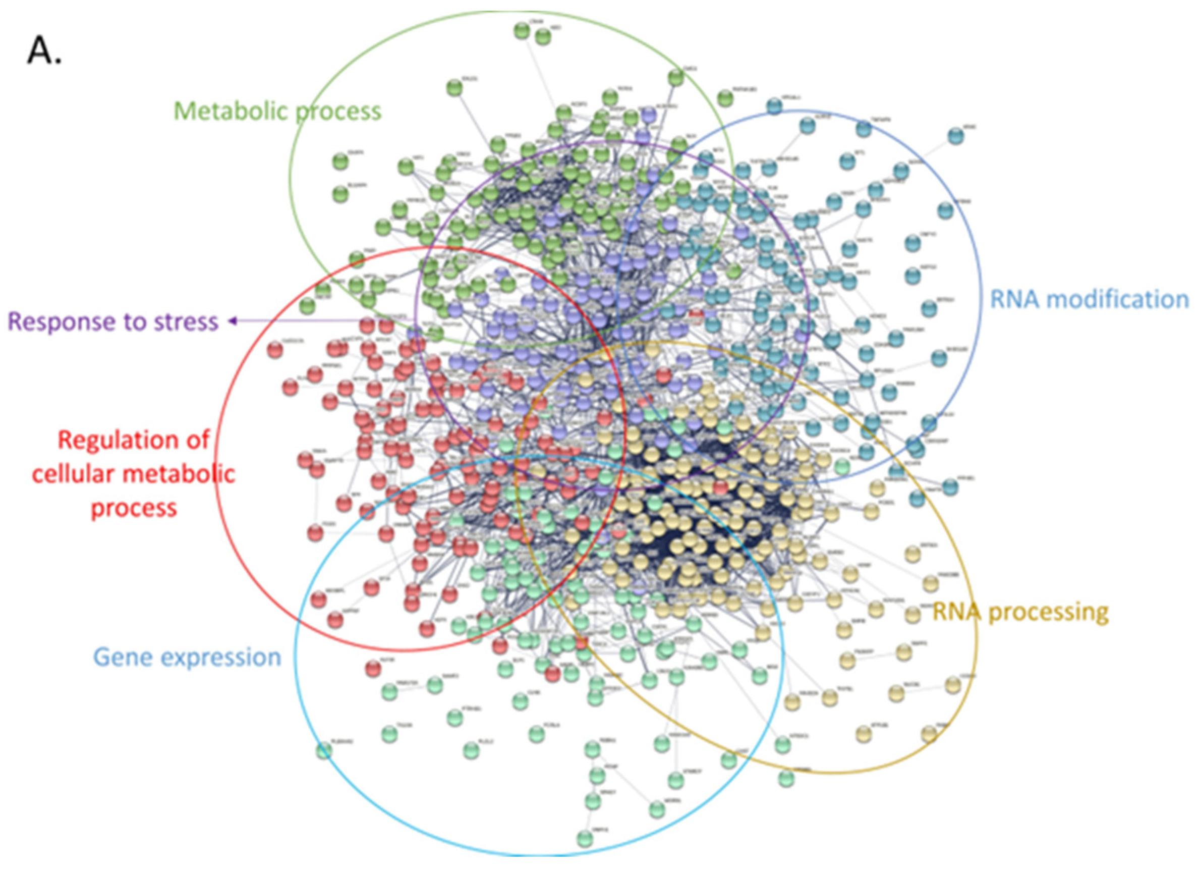 Jpm 14 00831 g007a Jpm 14 00831 g007a