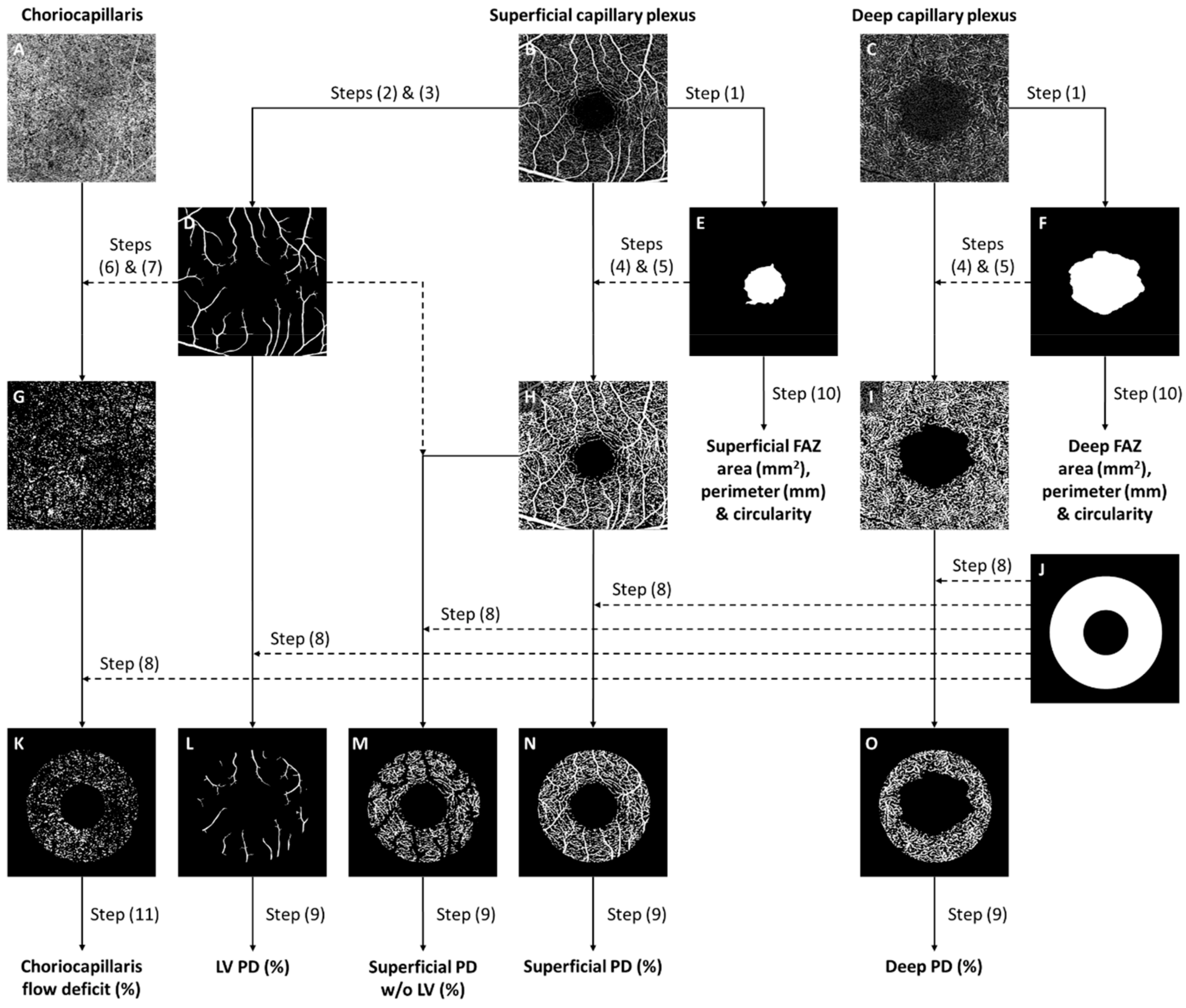 Jpm 14 00834 g001 Jpm 14 00834 g001
