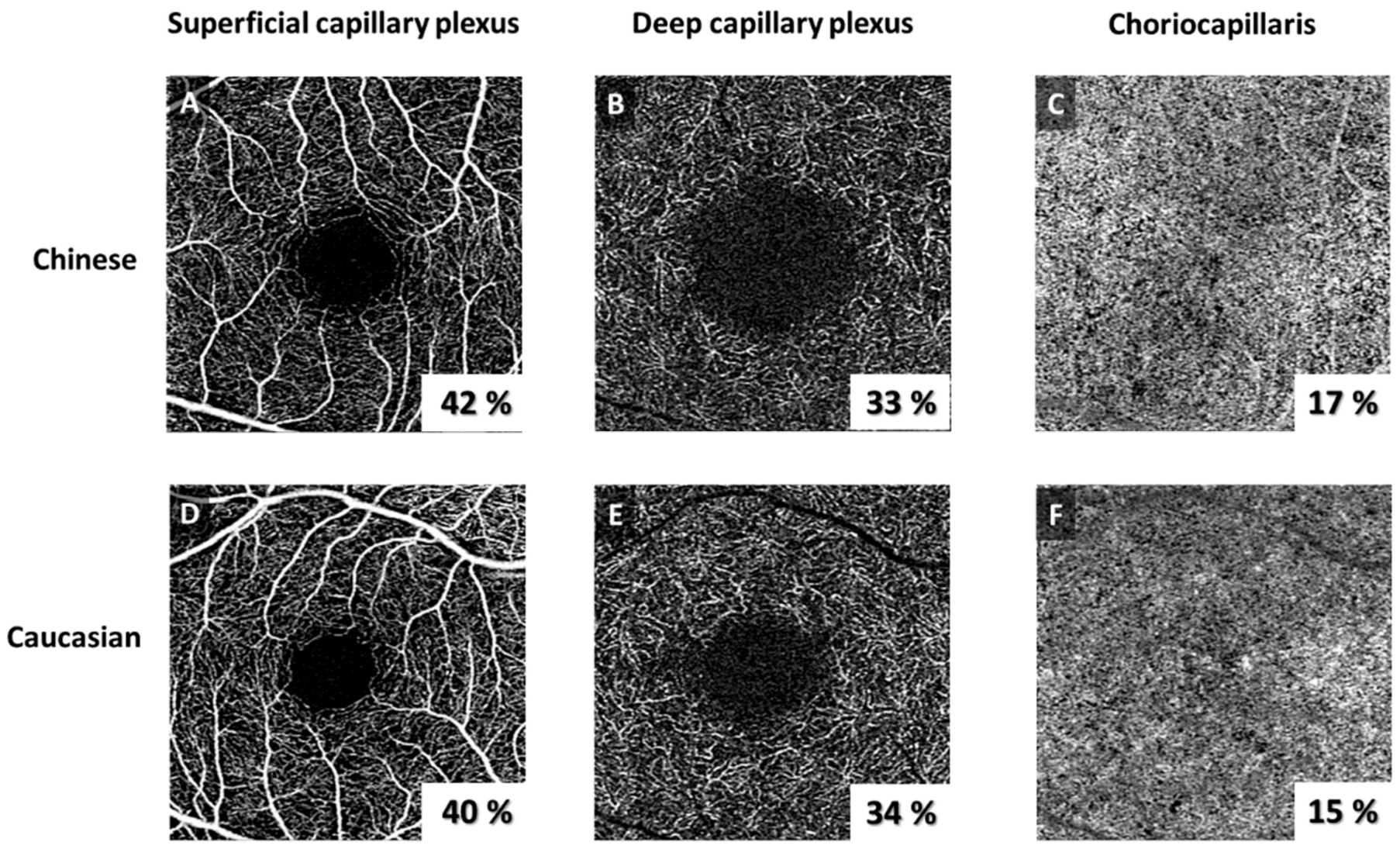 Jpm 14 00834 g002 Jpm 14 00834 g002