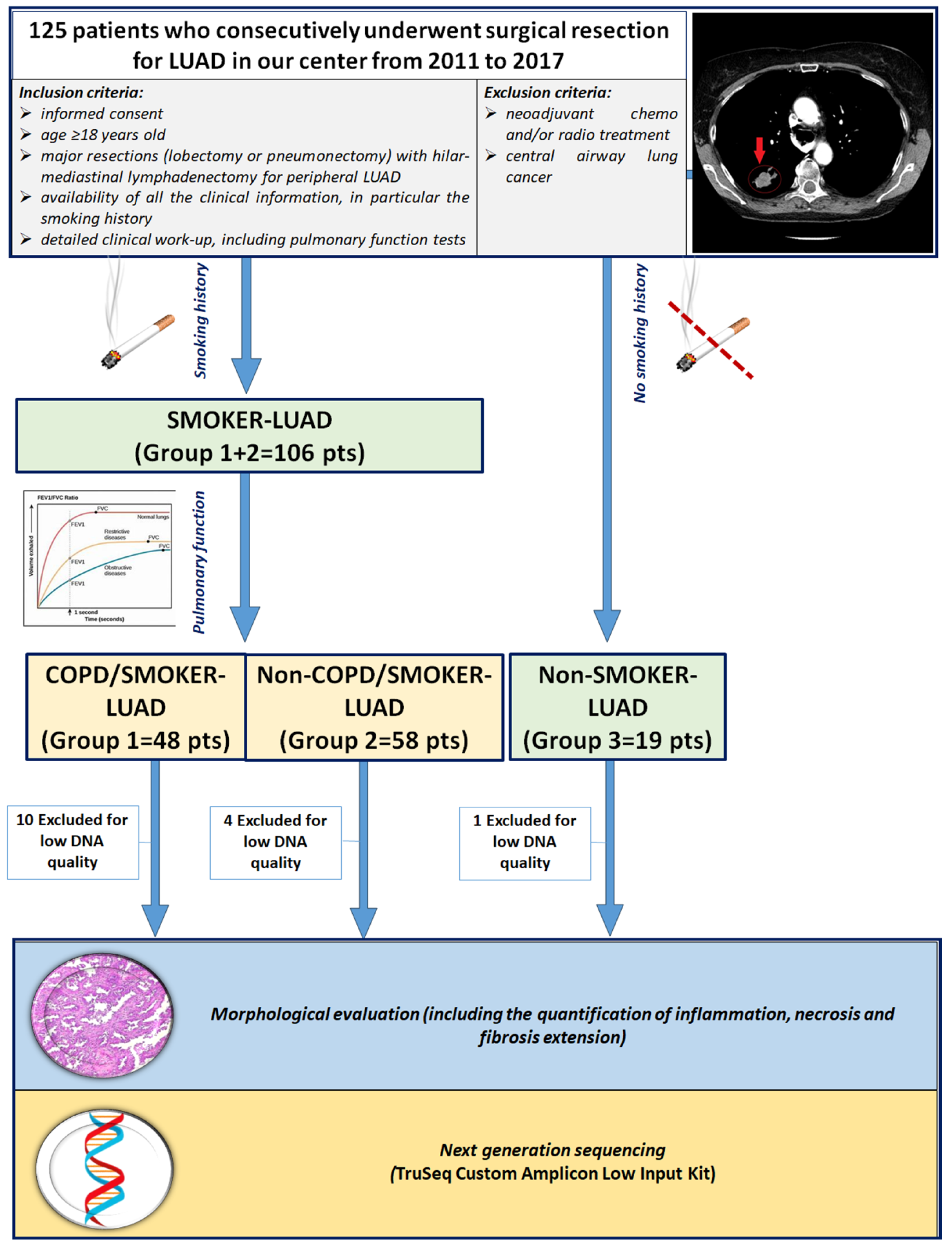 Jpm 14 00839 g001 Jpm 14 00839 g001