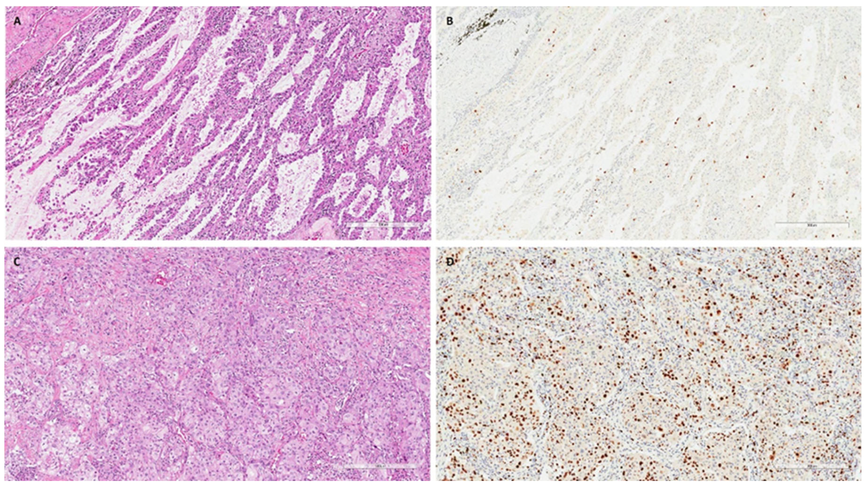 Jpm 14 00839 g002 Jpm 14 00839 g002