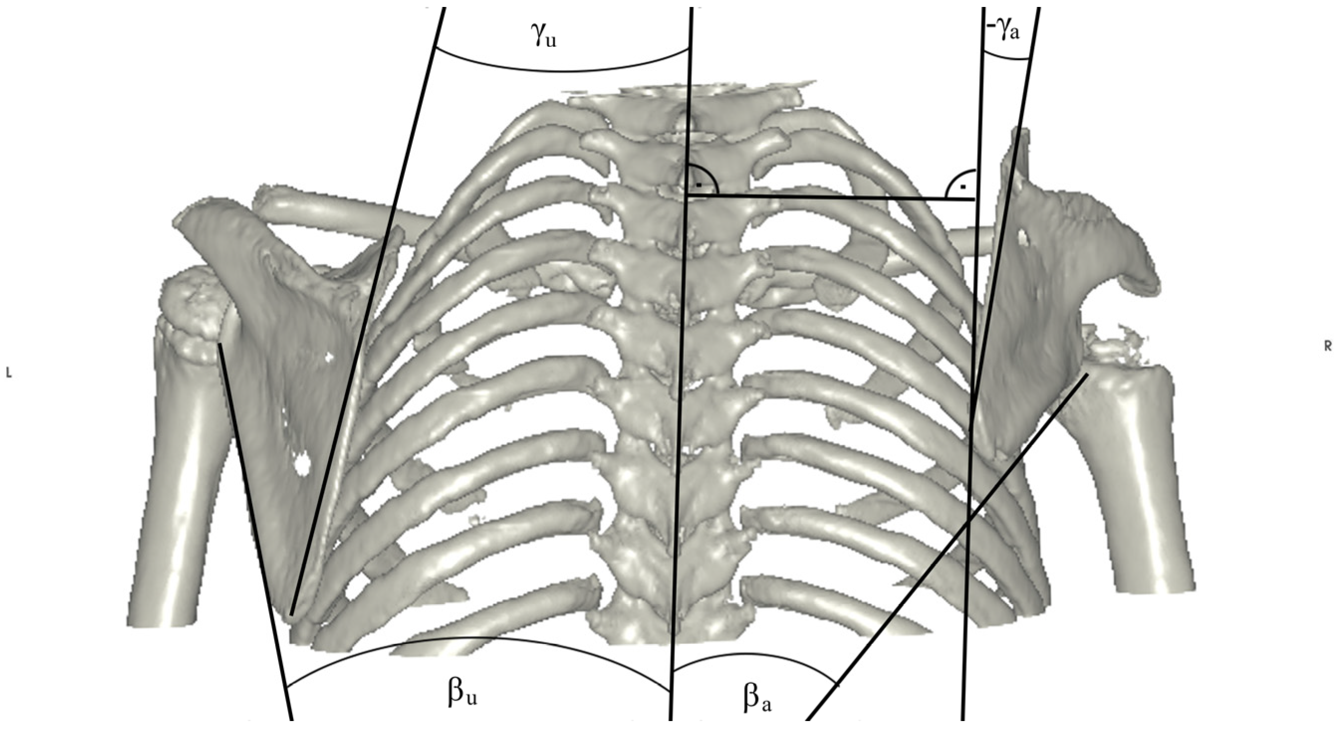 Jpm 14 00846 g005 Jpm 14 00846 g005