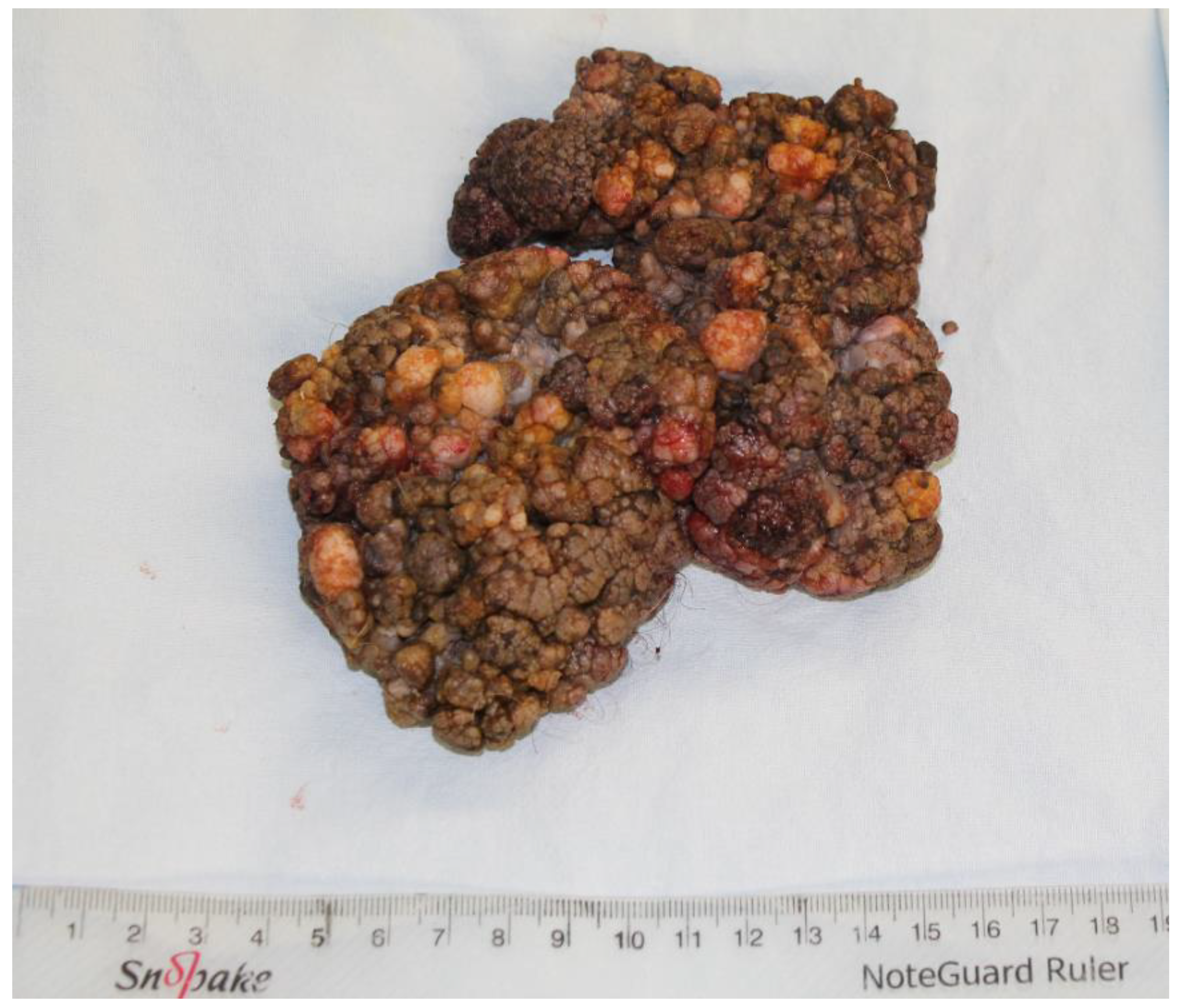 Jpm 14 00887 g002 Jpm 14 00887 g002