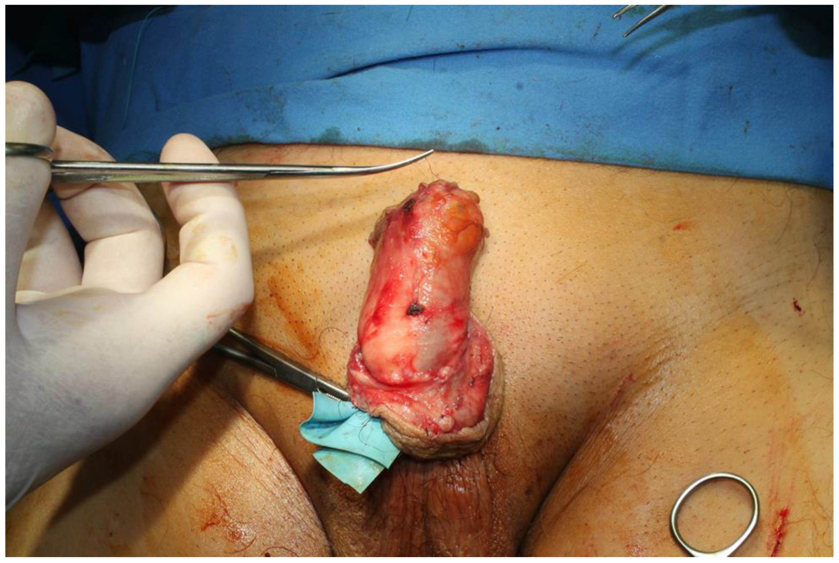 Jpm 14 00887 g003 Jpm 14 00887 g003