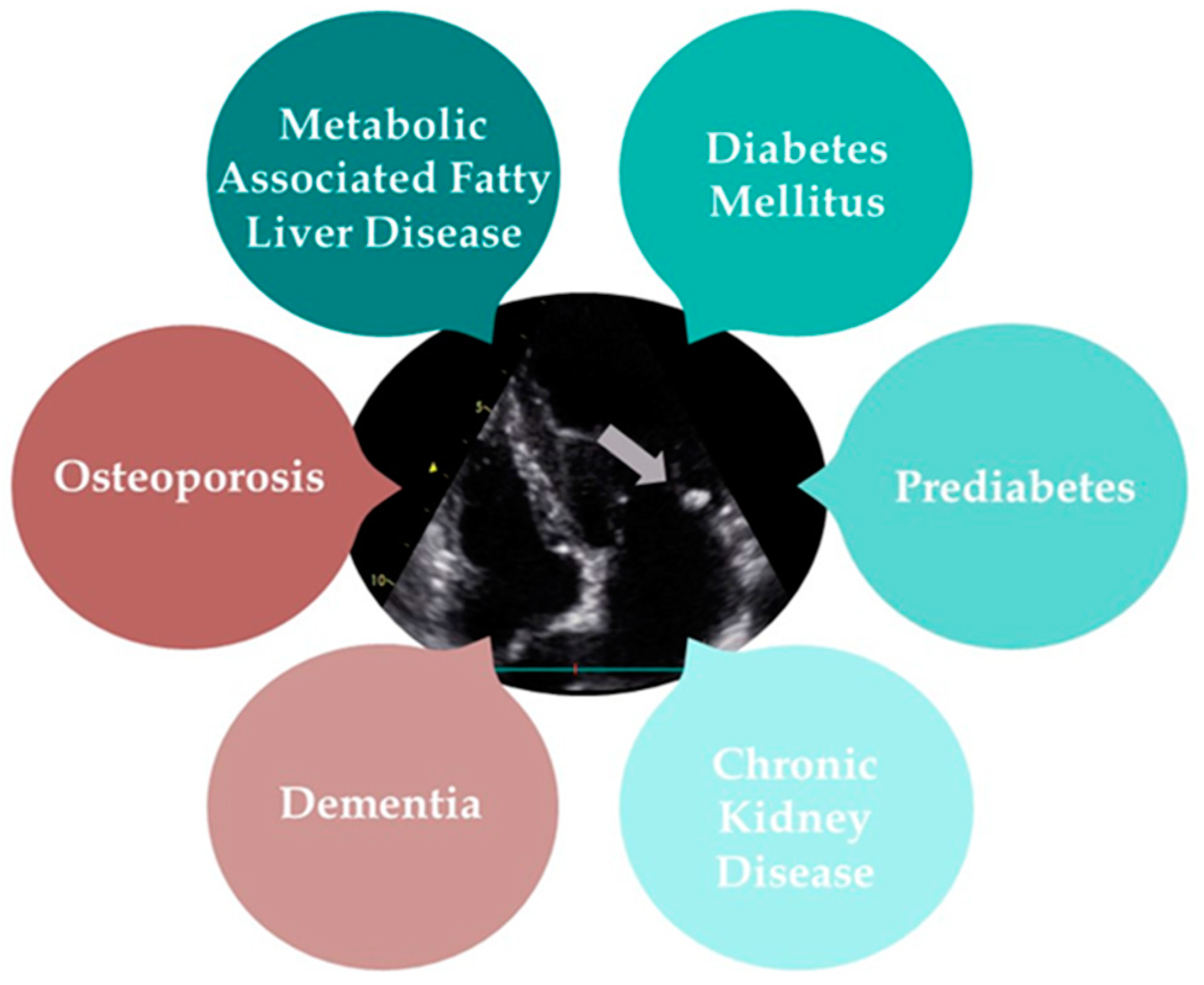 Jpm 14 00900 g003 Jpm 14 00900 g003