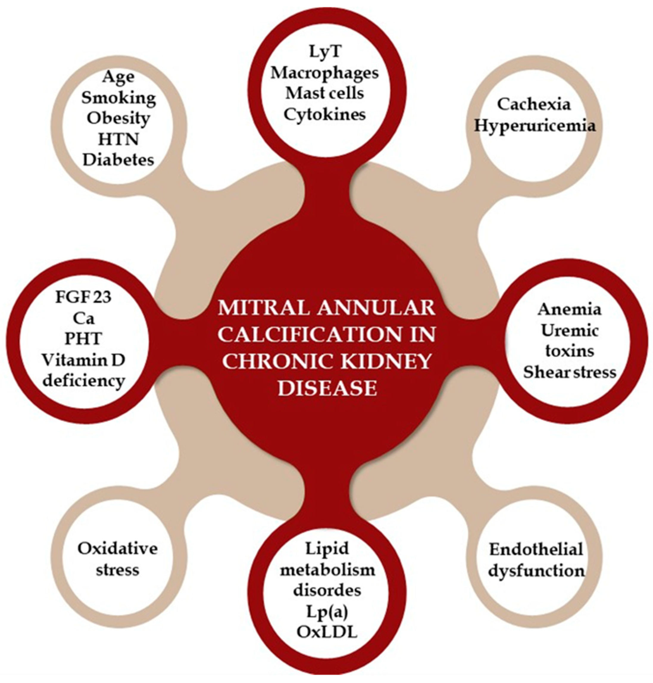 Jpm 14 00900 g004 Jpm 14 00900 g004