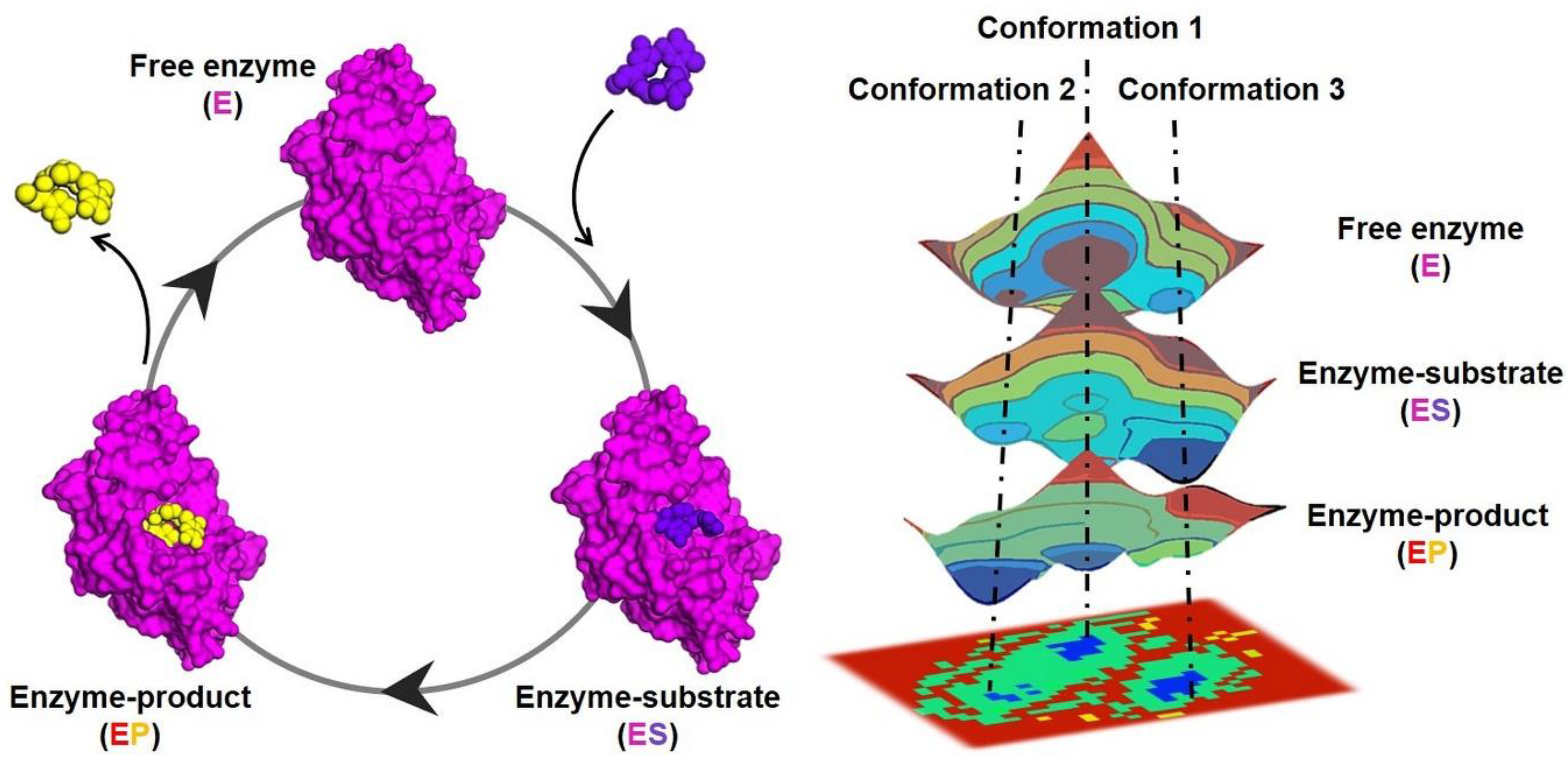 Jpm 14 00909 g001 Jpm 14 00909 g001