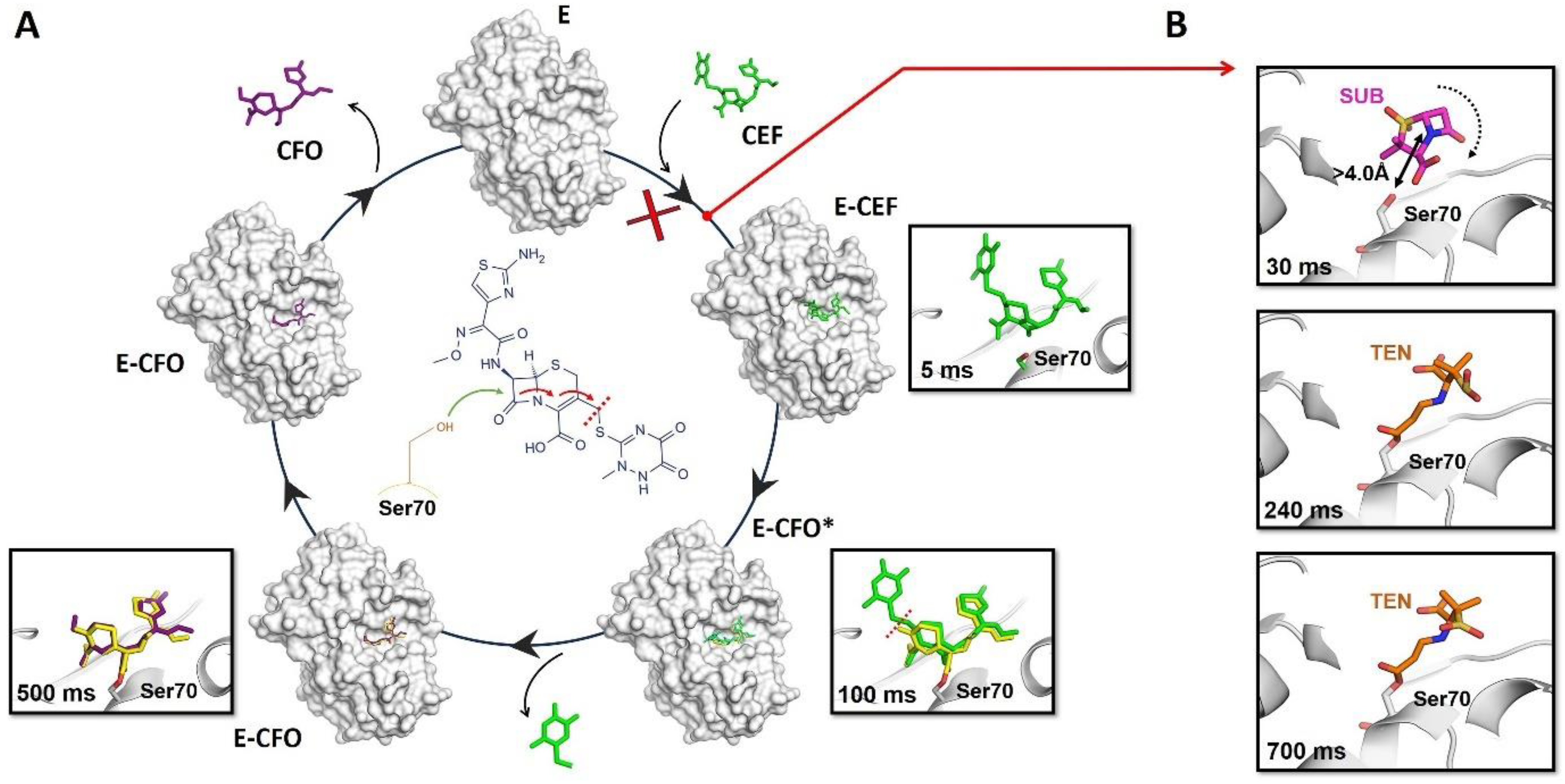 Jpm 14 00909 g003 Jpm 14 00909 g003