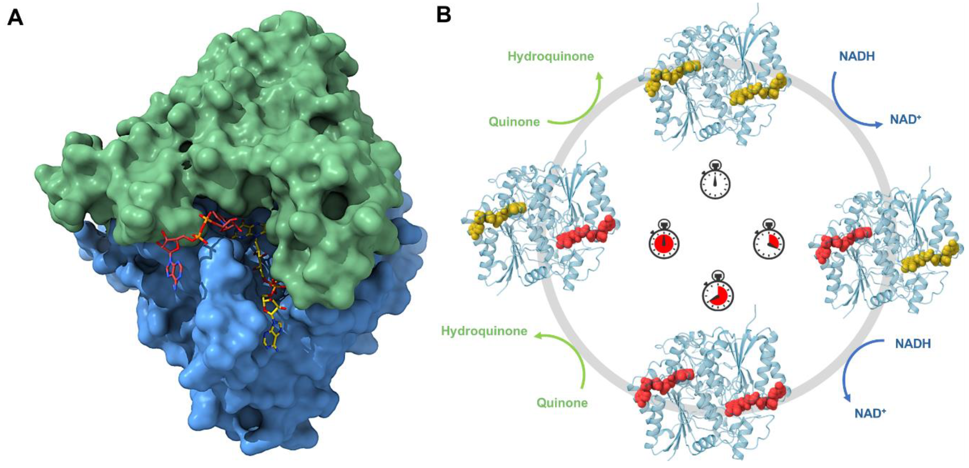 Jpm 14 00909 g004 Jpm 14 00909 g004