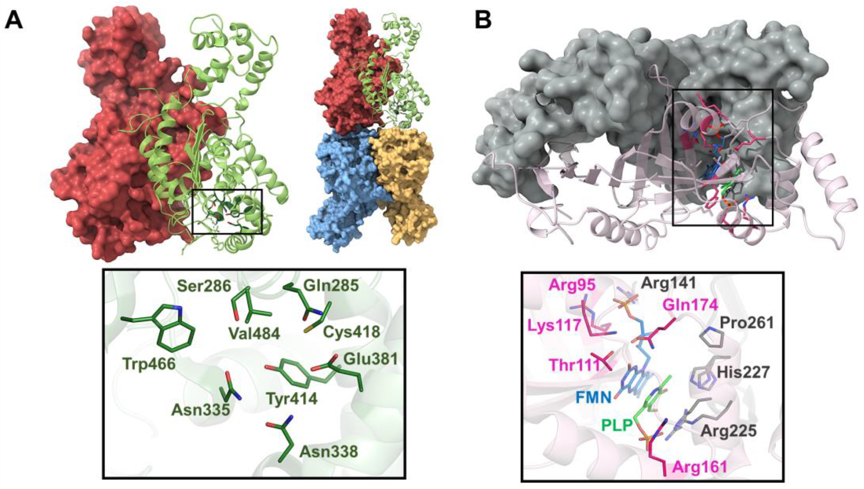 Jpm 14 00909 g005 Jpm 14 00909 g005