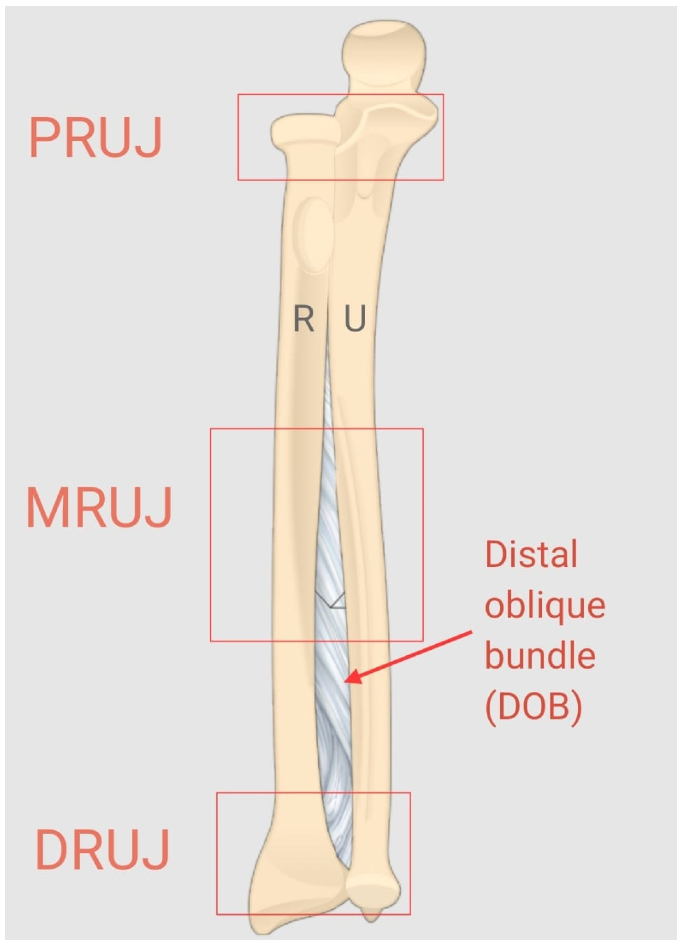 Jpm 14 00943 g001 Jpm 14 00943 g001