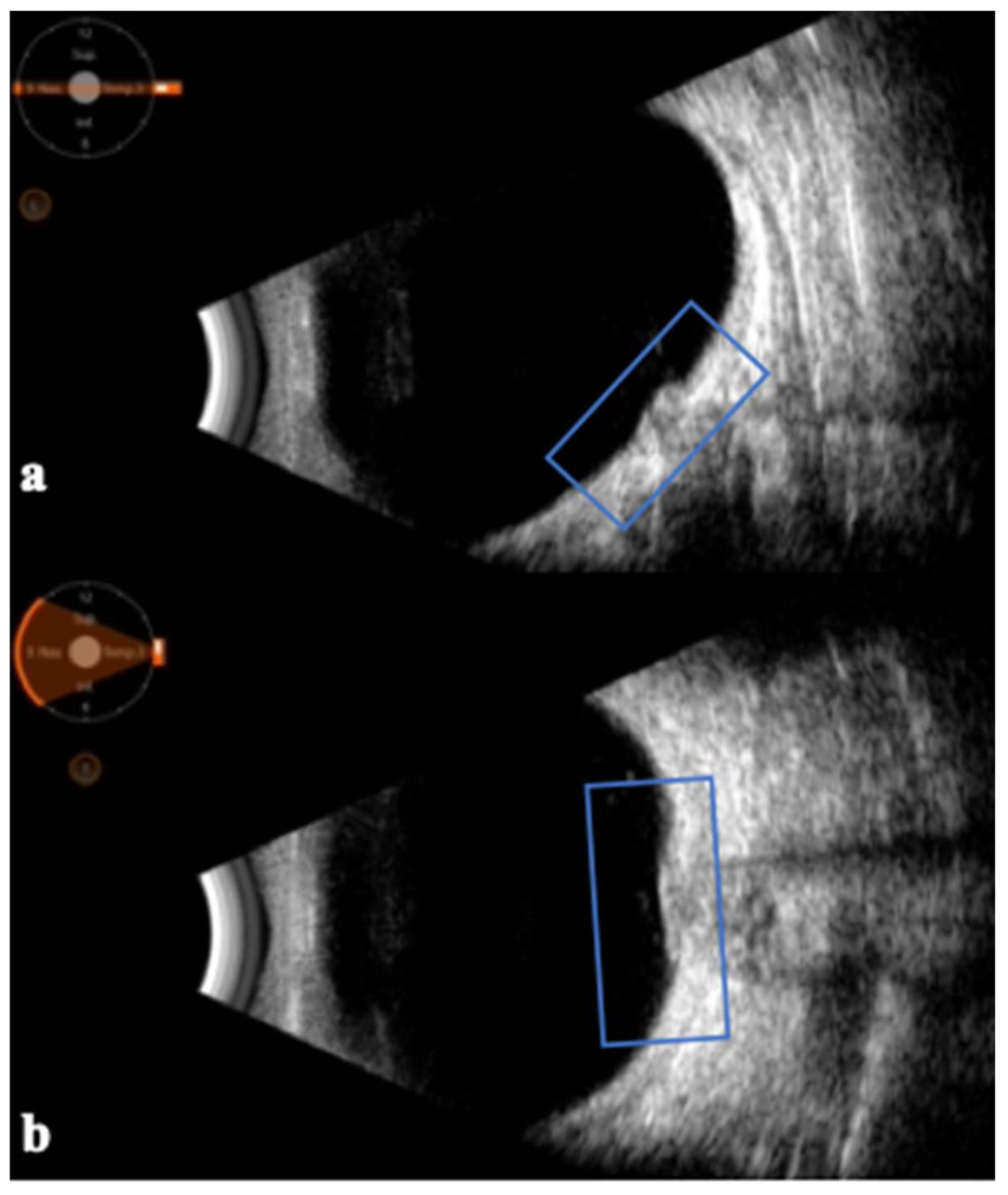 Jpm 14 00949 g002 Jpm 14 00949 g002