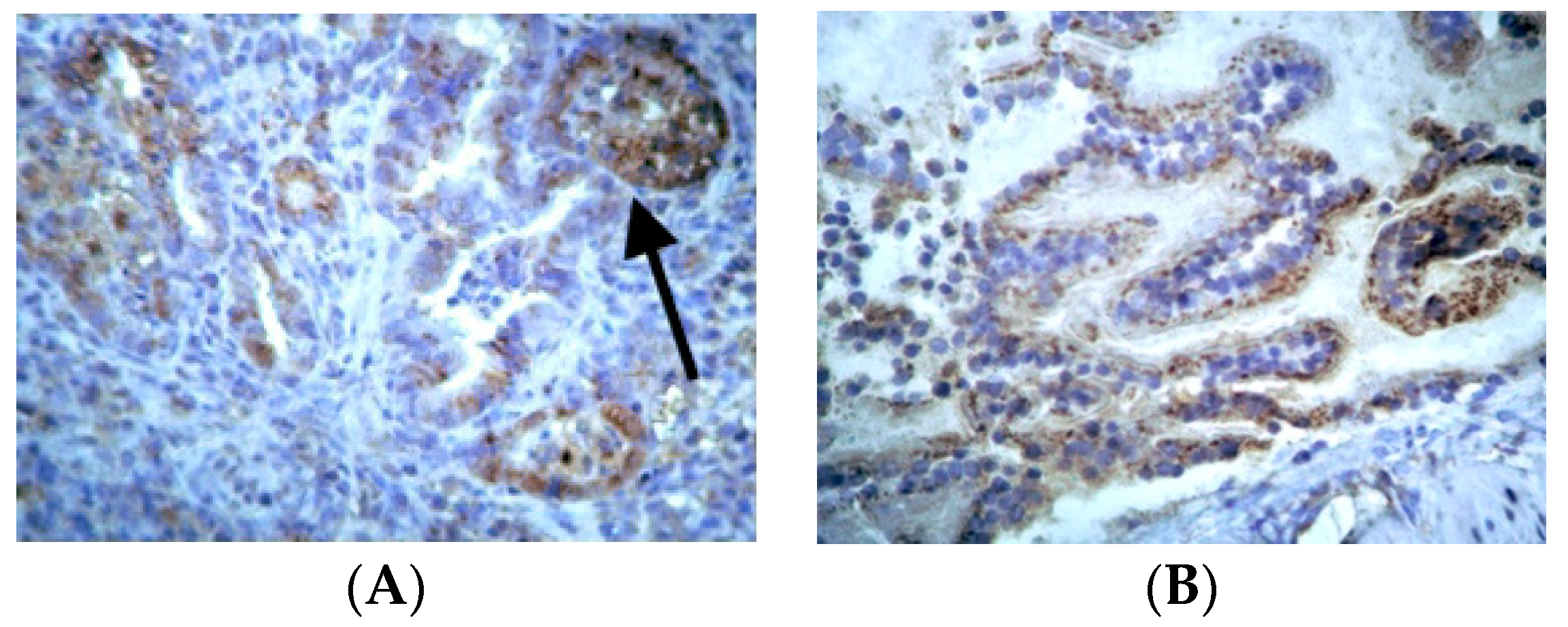 Jpm 14 00972 g005 Jpm 14 00972 g005