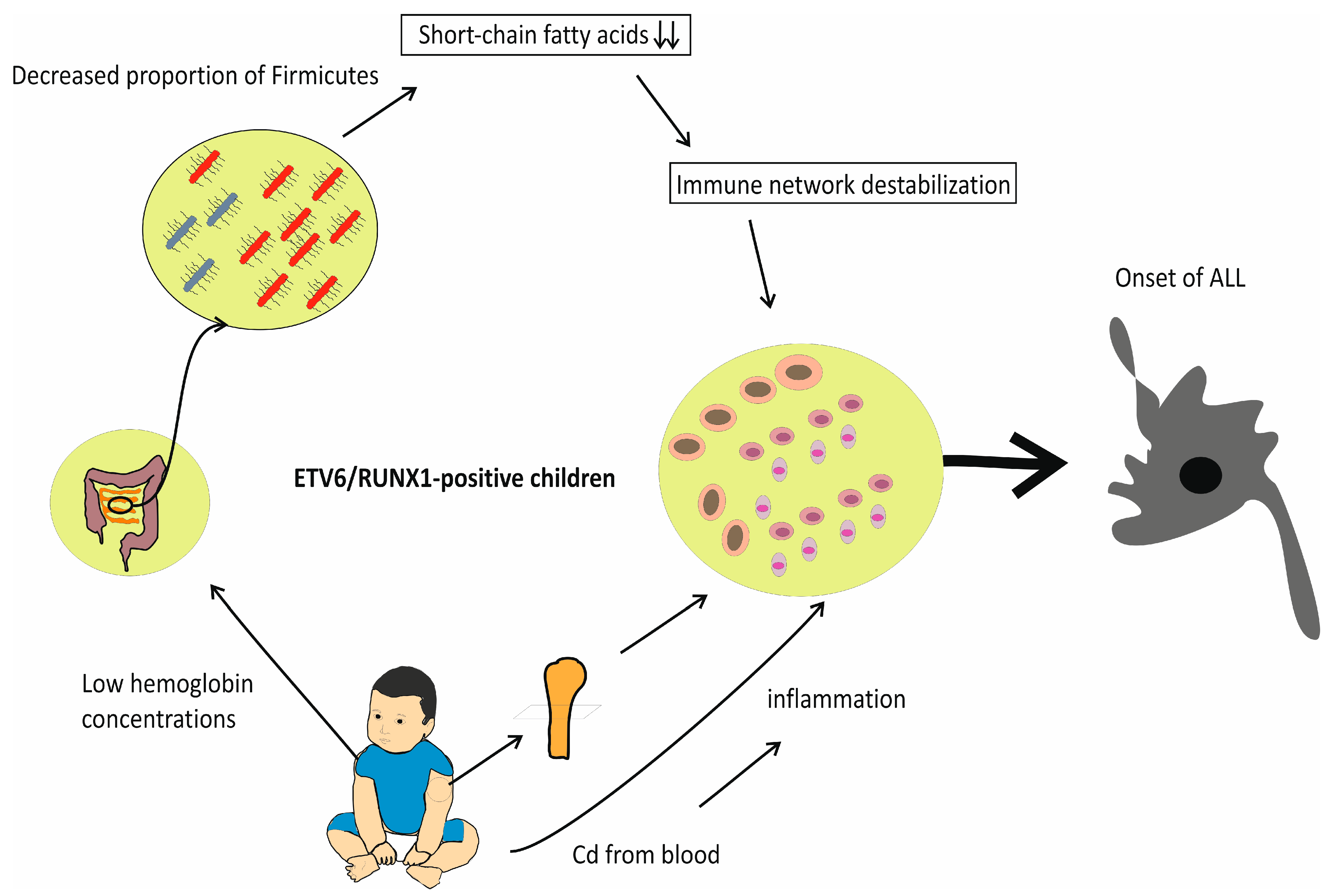 Jpm 14 01036 g001 Jpm 14 01036 g001