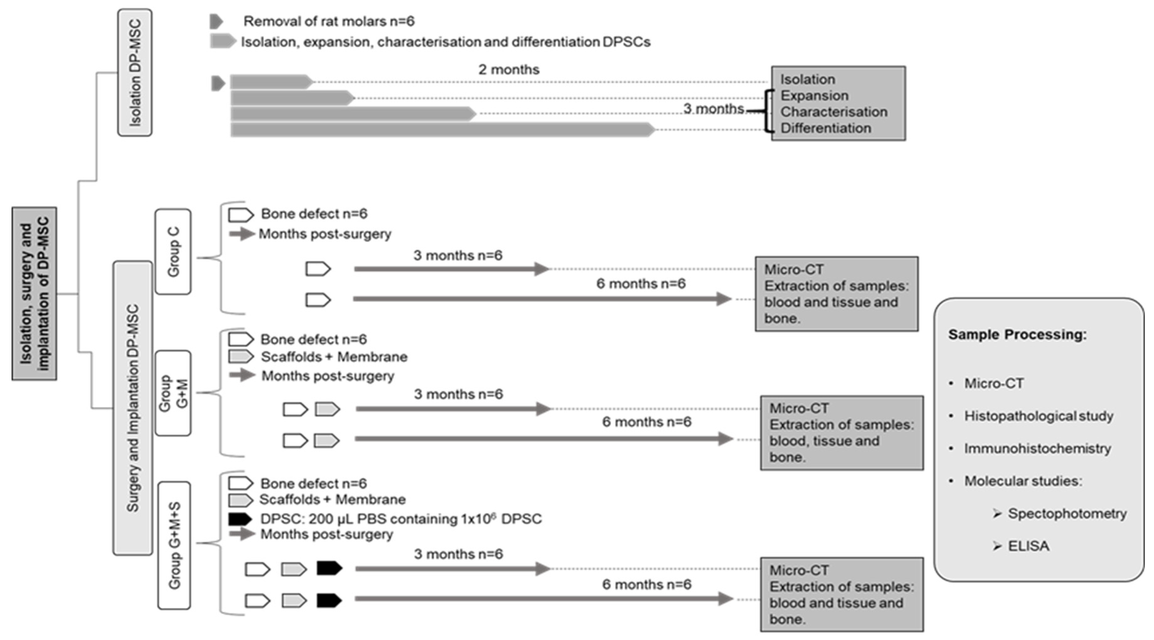 Jpm 14 01075 g001 Jpm 14 01075 g001