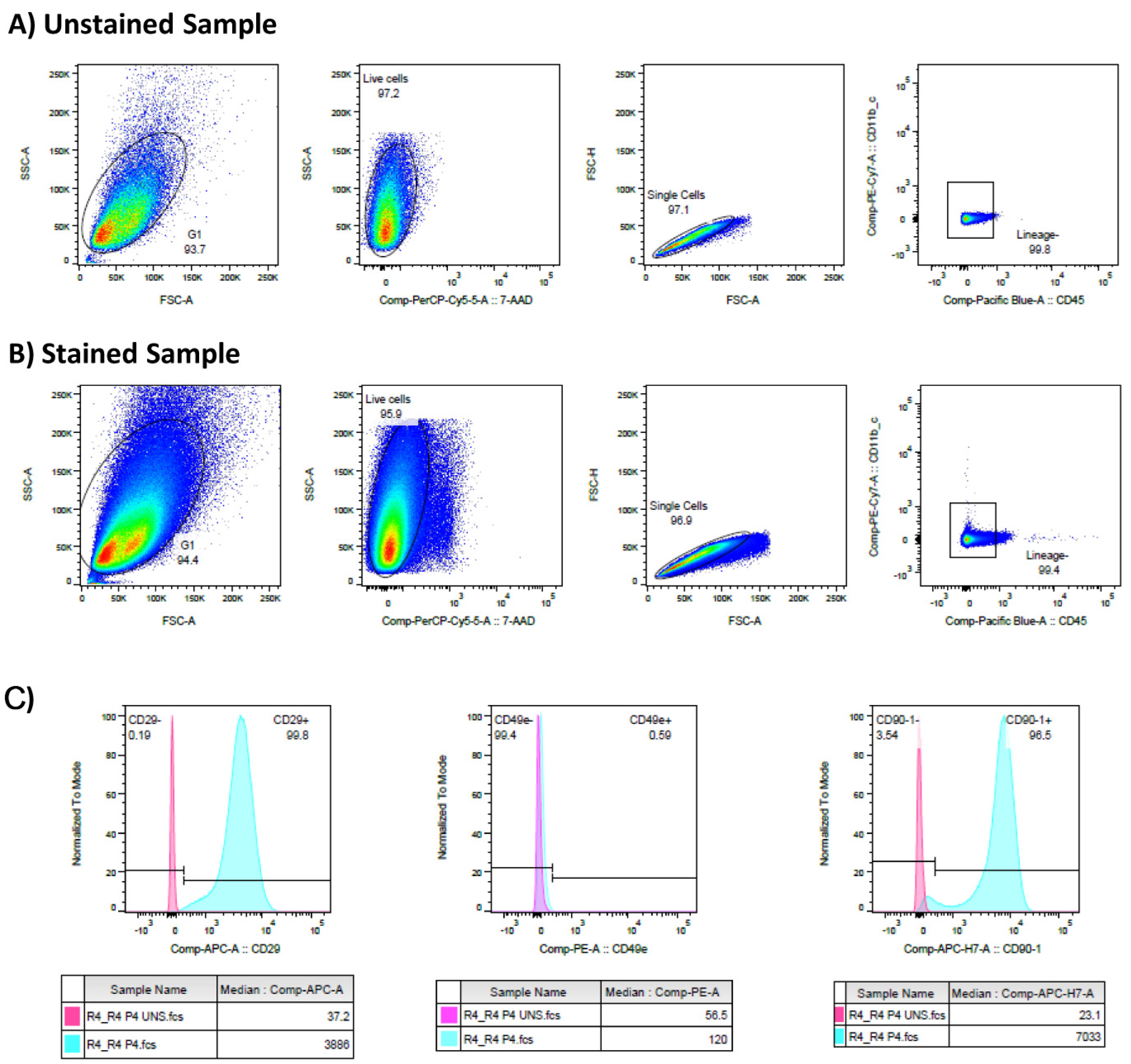Jpm 14 01075 g005 Jpm 14 01075 g005