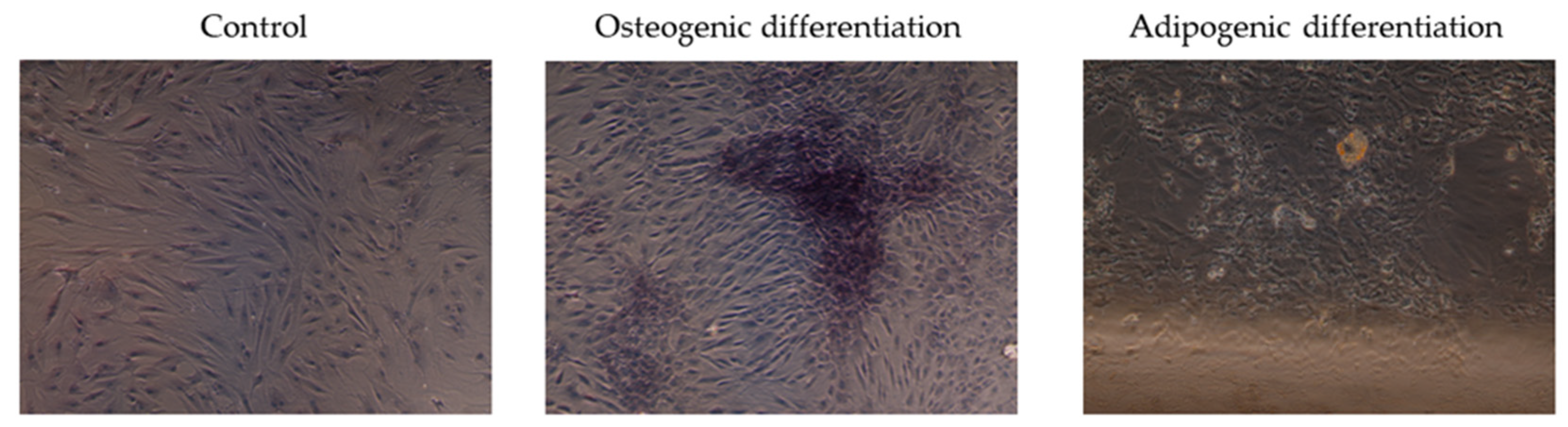 Jpm 14 01075 g006 Jpm 14 01075 g006