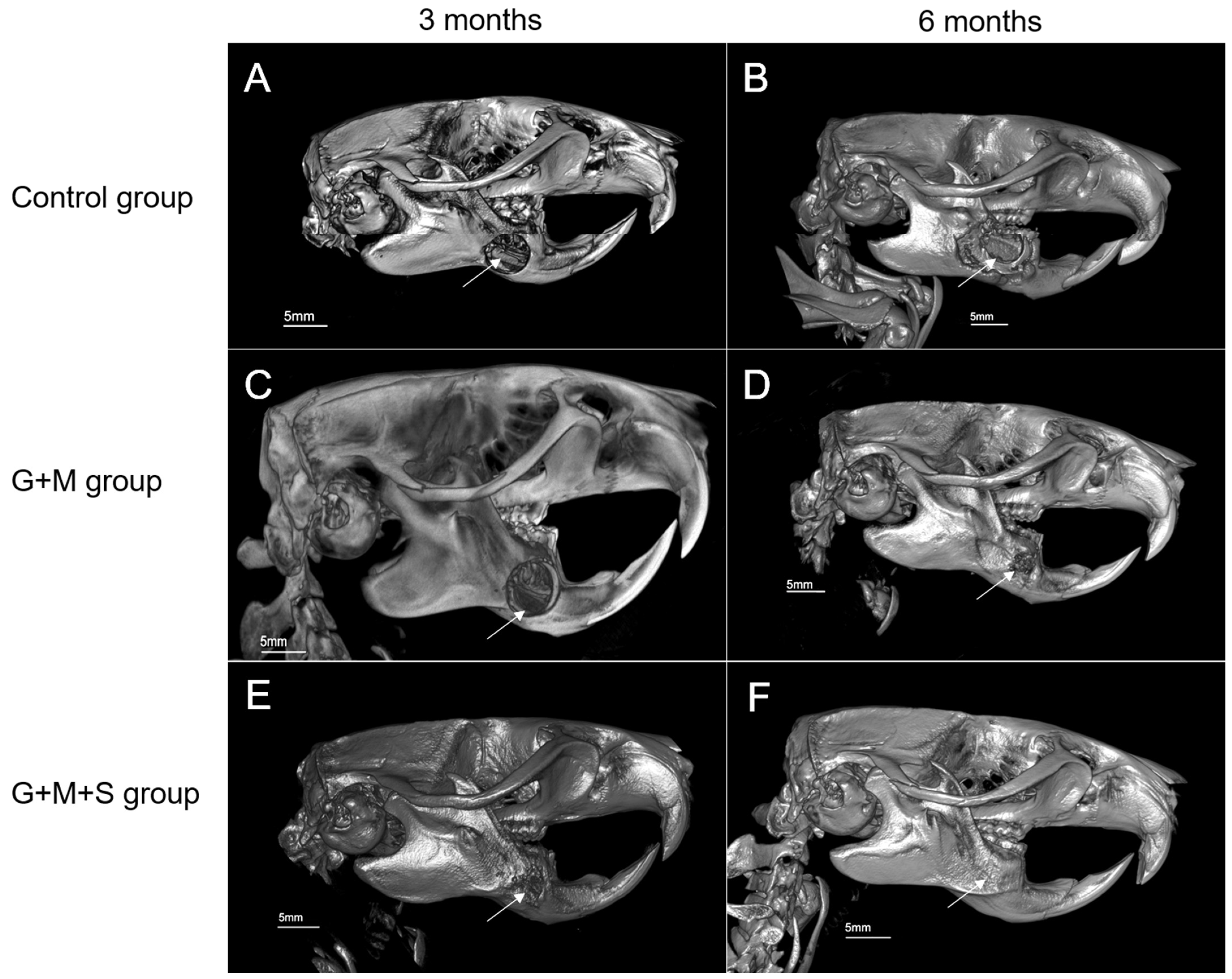 Jpm 14 01075 g007 Jpm 14 01075 g007