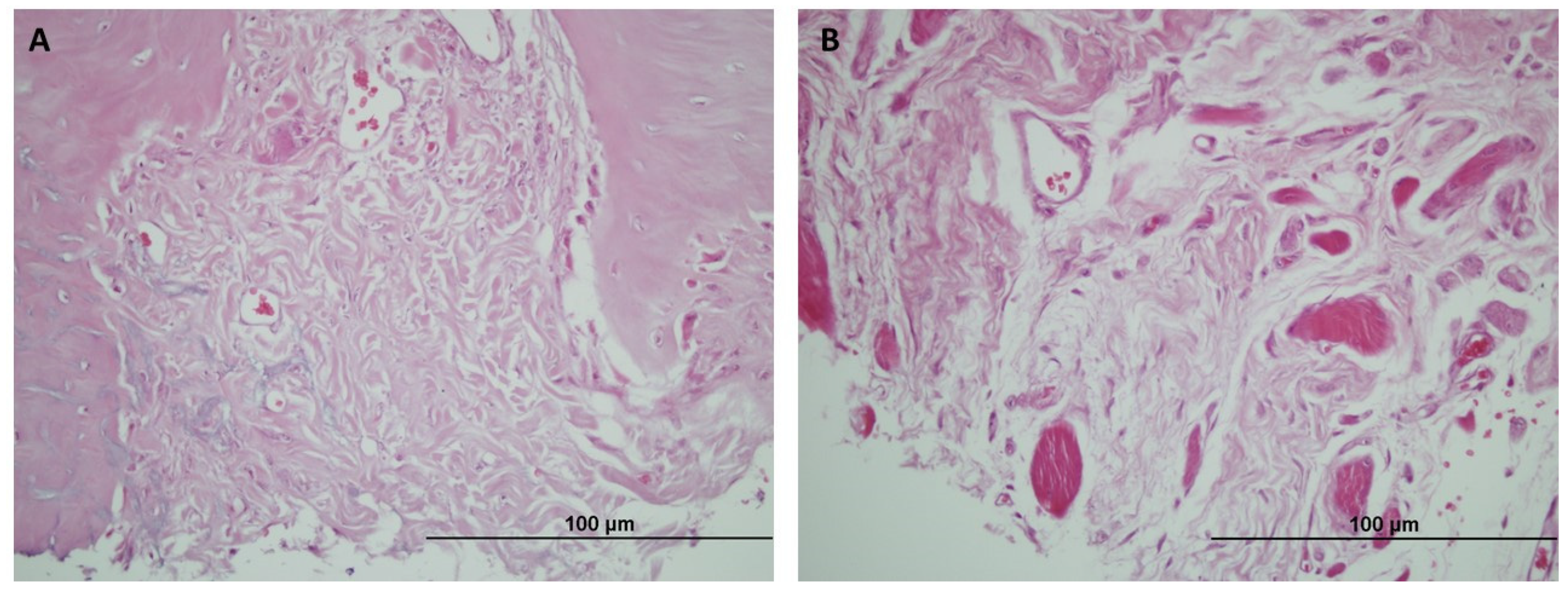 Jpm 14 01075 g008 Jpm 14 01075 g008