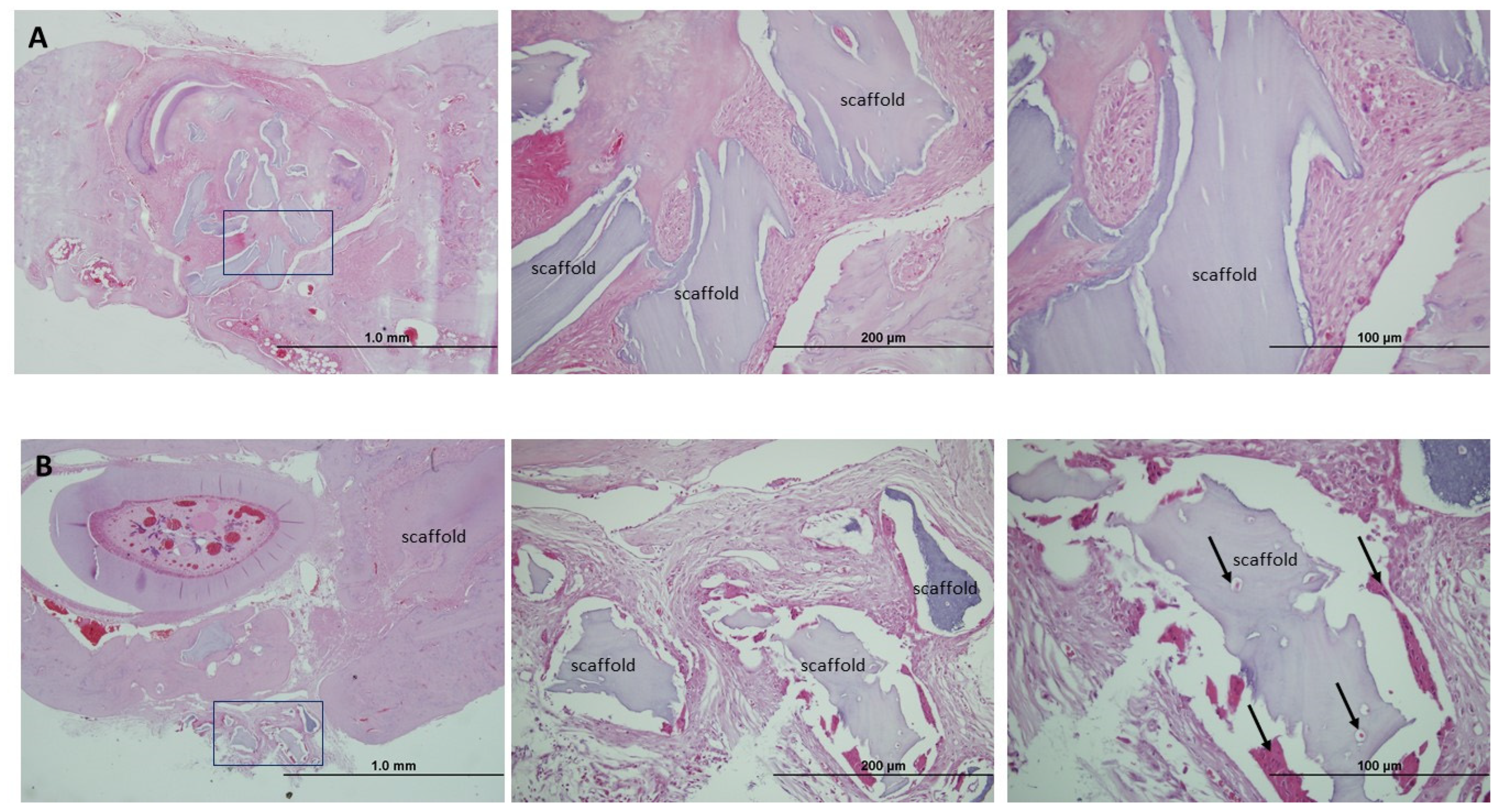 Jpm 14 01075 g009 Jpm 14 01075 g009