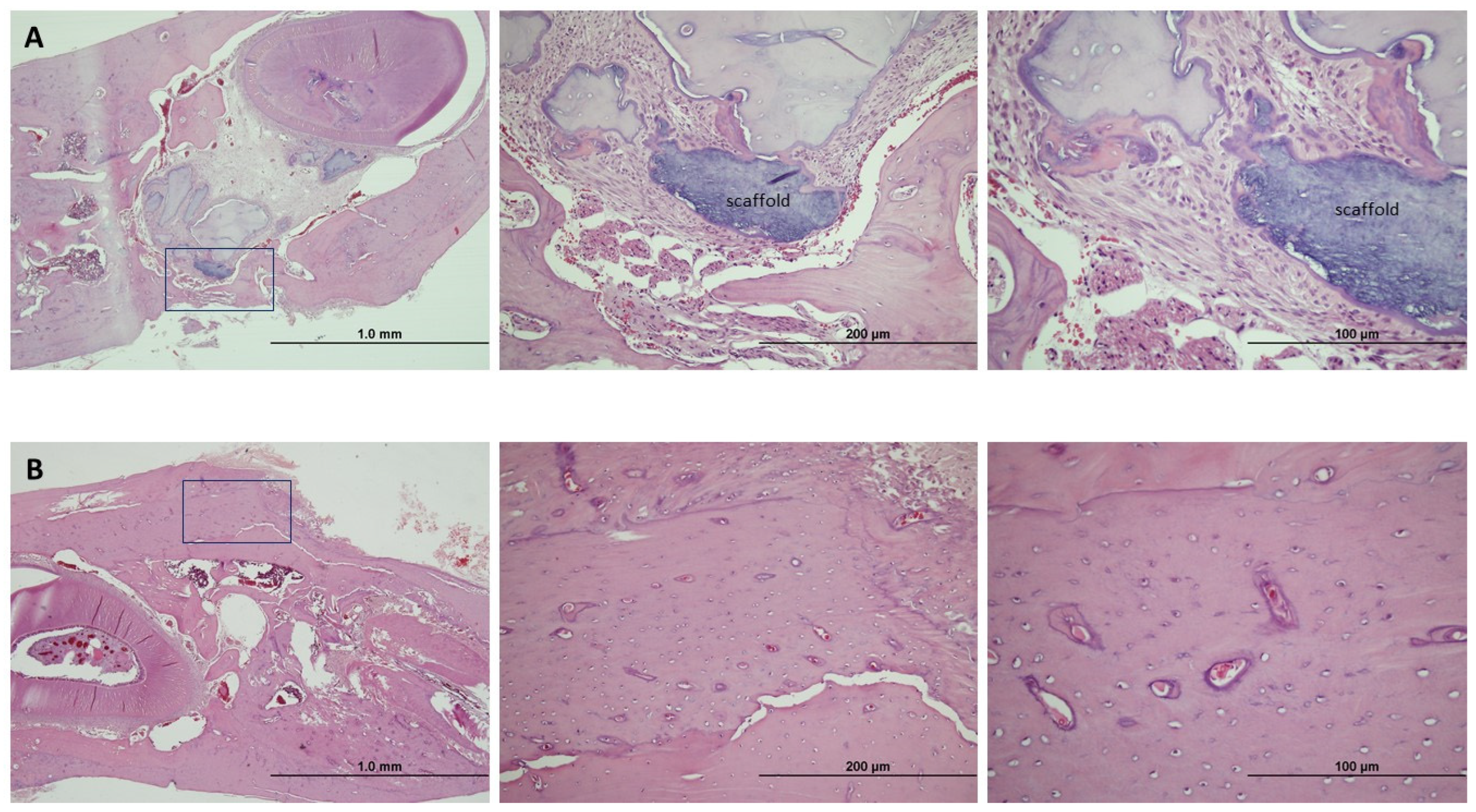 Jpm 14 01075 g010 Jpm 14 01075 g010