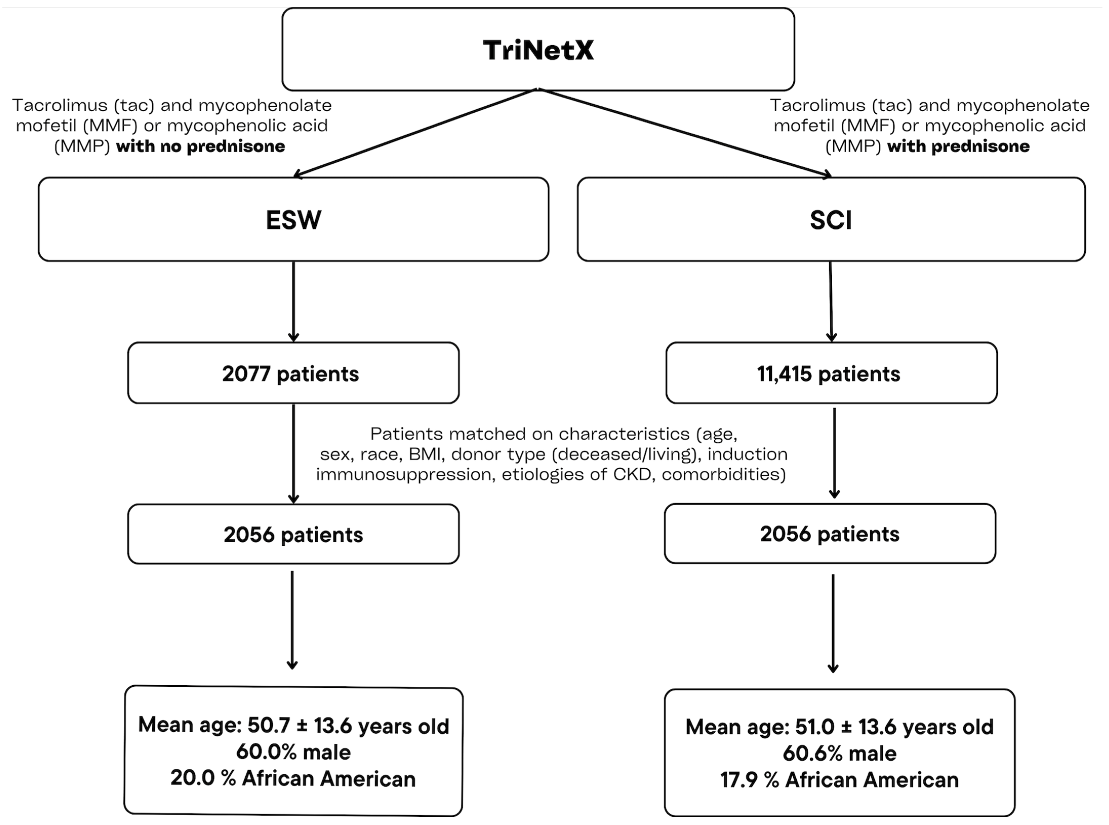 Jpm 14 01106 g001 Jpm 14 01106 g001