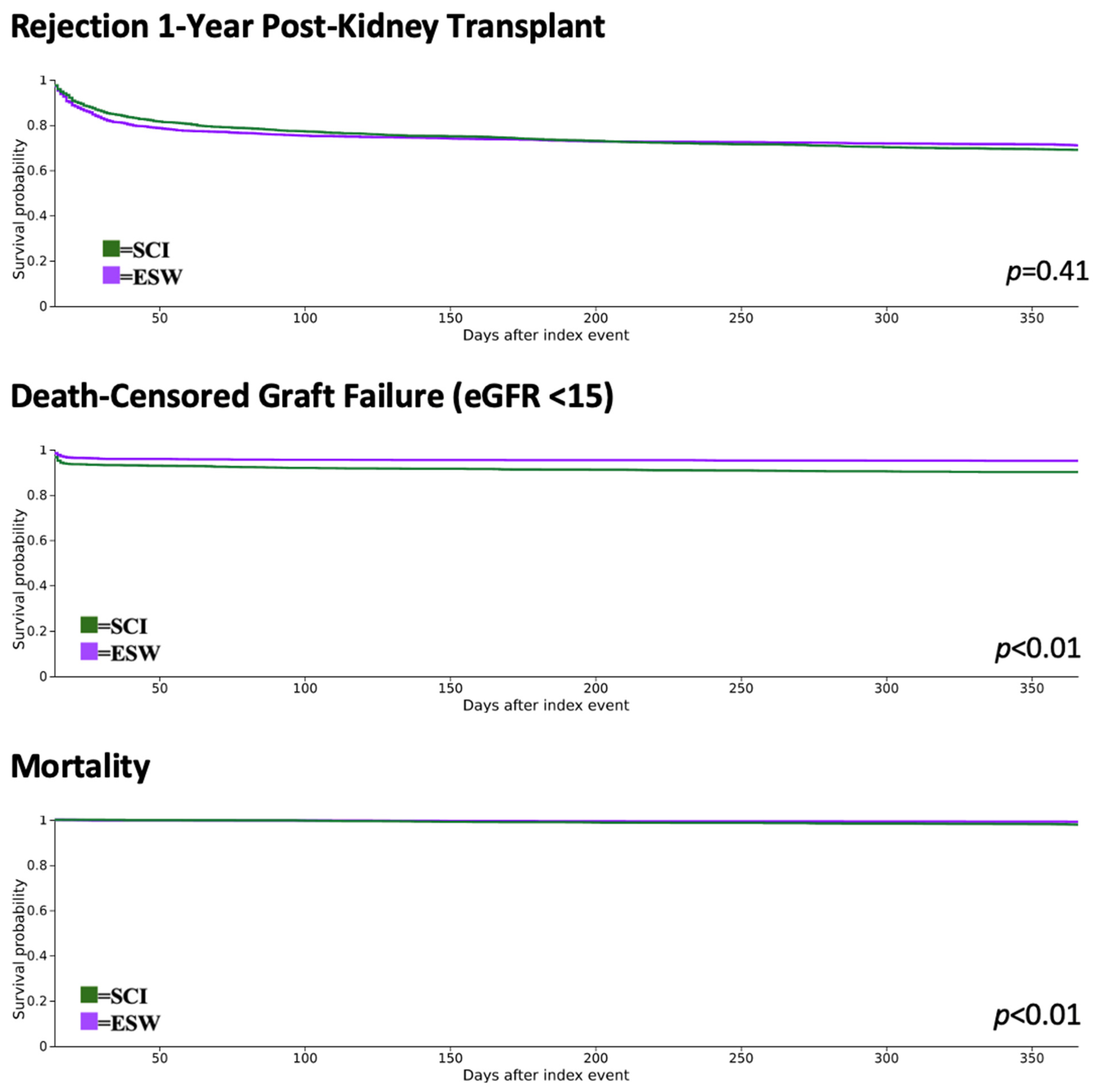 Jpm 14 01106 g002 Jpm 14 01106 g002