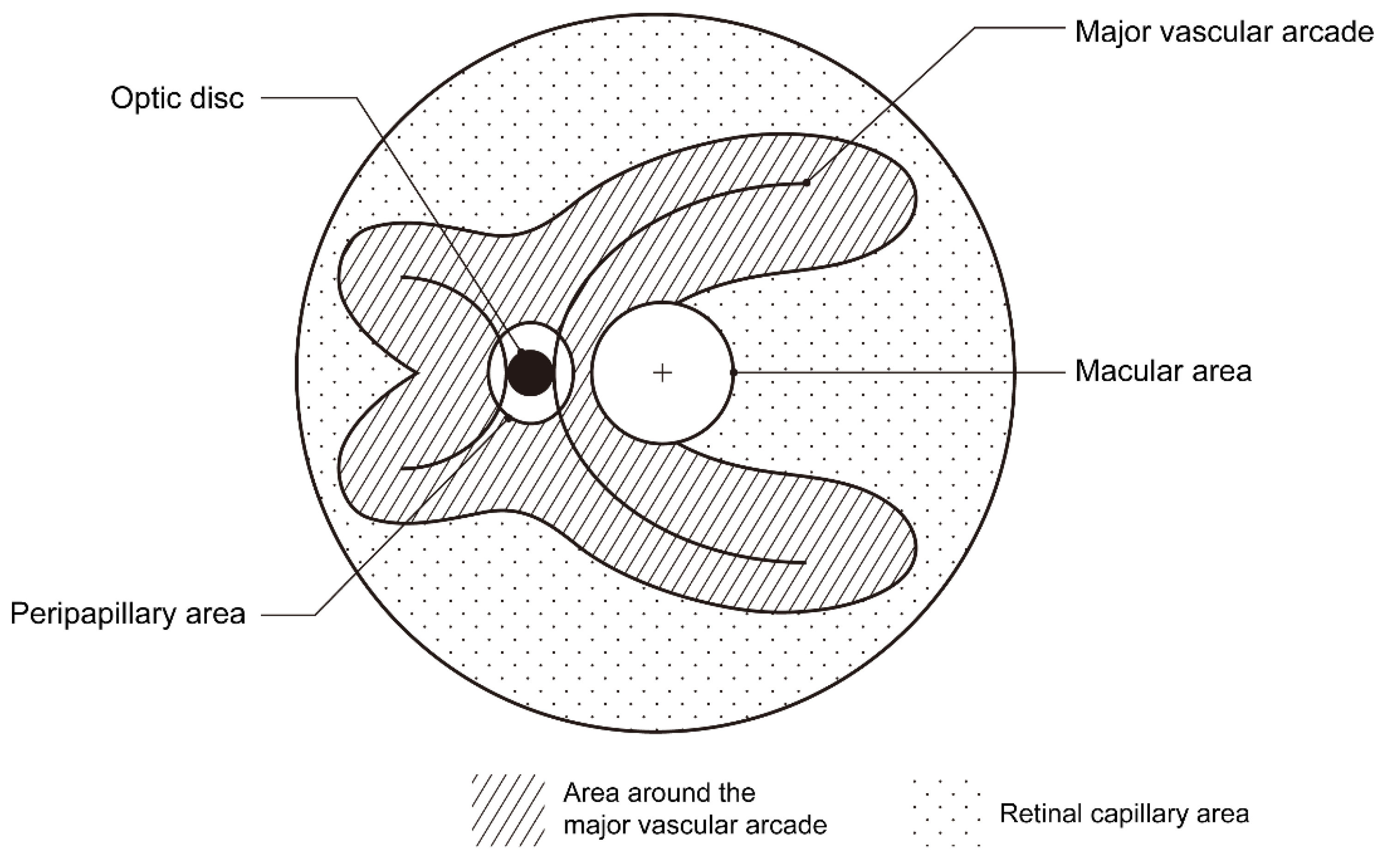 Jpm 15 00038 g001 Jpm 15 00038 g001