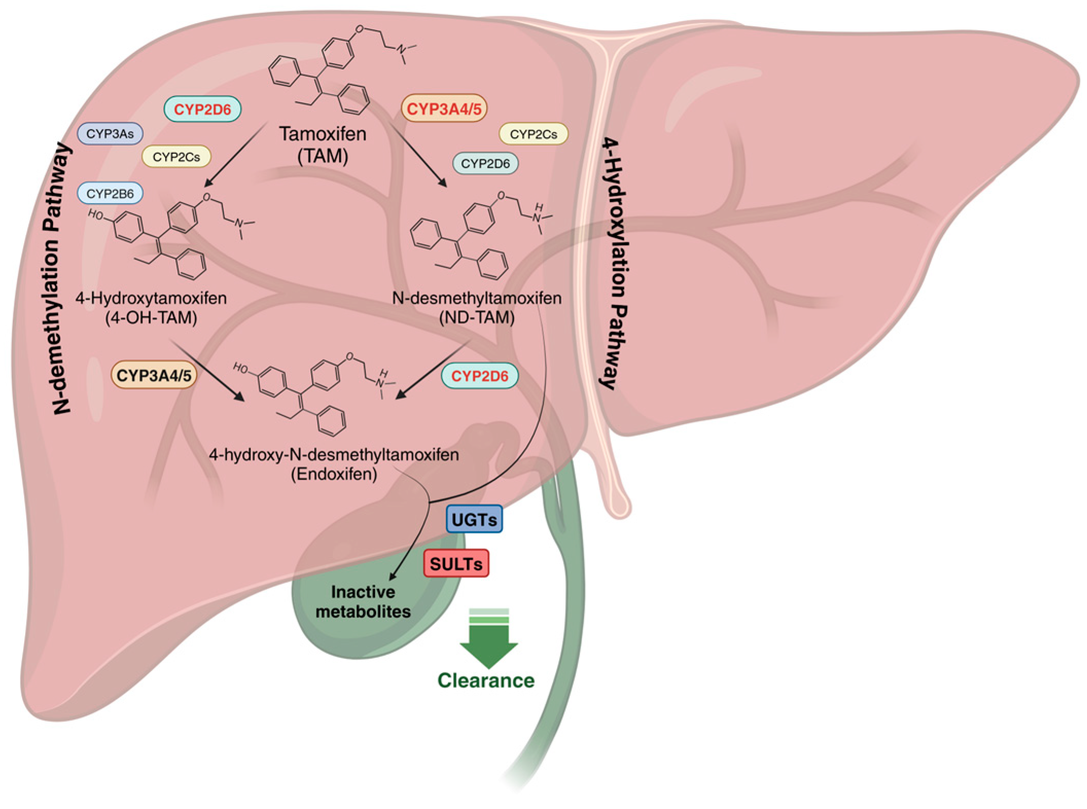 Jpm 15 00505 g002 Jpm 15 00505 g002