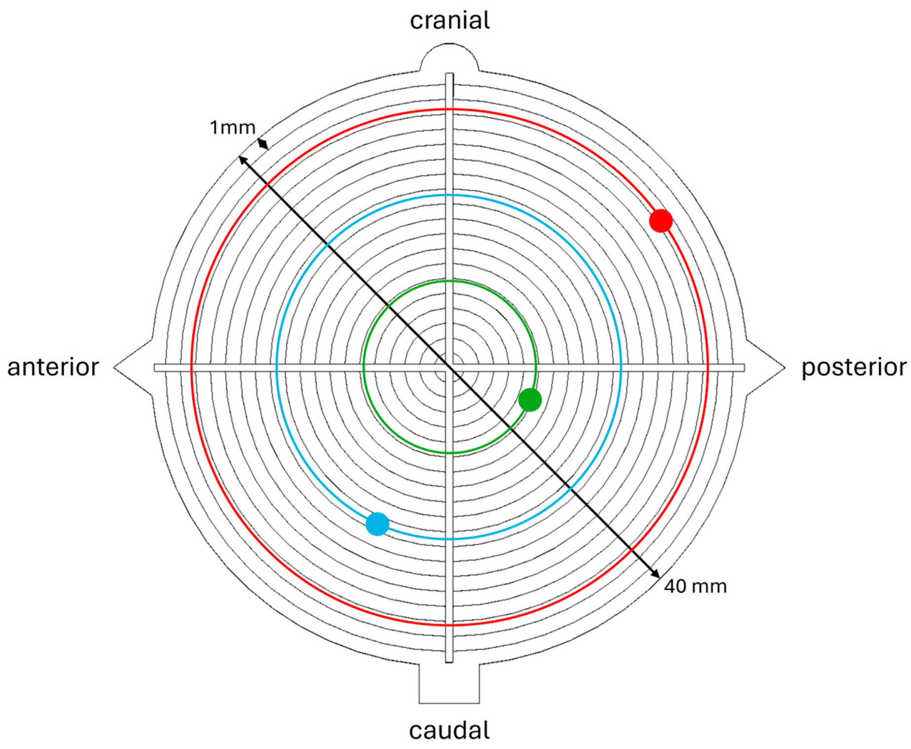 Jpm 15 00509 g003 Jpm 15 00509 g003