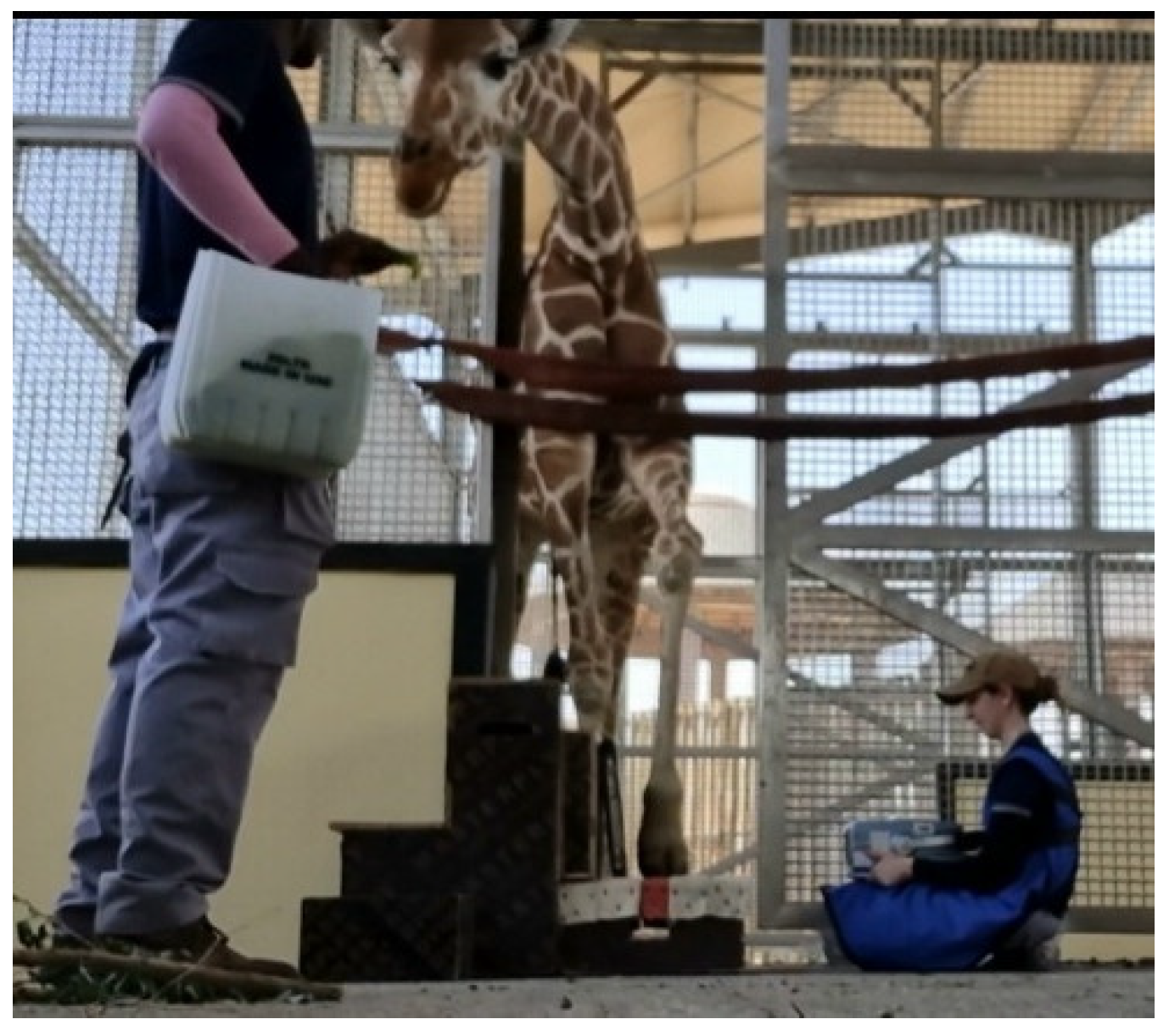 Jzbg 03 00051 g004 Jzbg 03 00051 g004