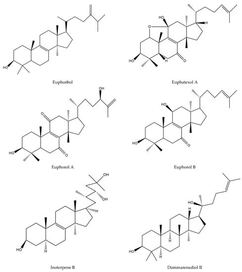 JZBG | Free Full-Text | Ethnomedicinal Use, Phytochemistry ...