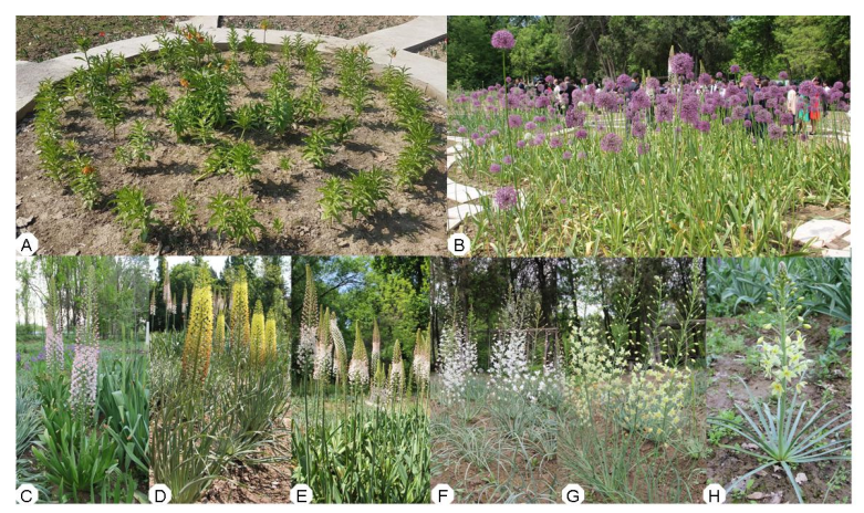 Jzbg 04 00034 g001 Jzbg 04 00034 g001