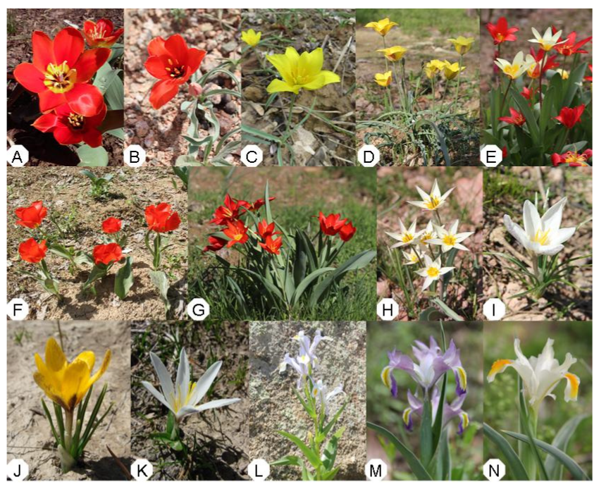 Jzbg 04 00034 g0a1 Jzbg 04 00034 g0a1