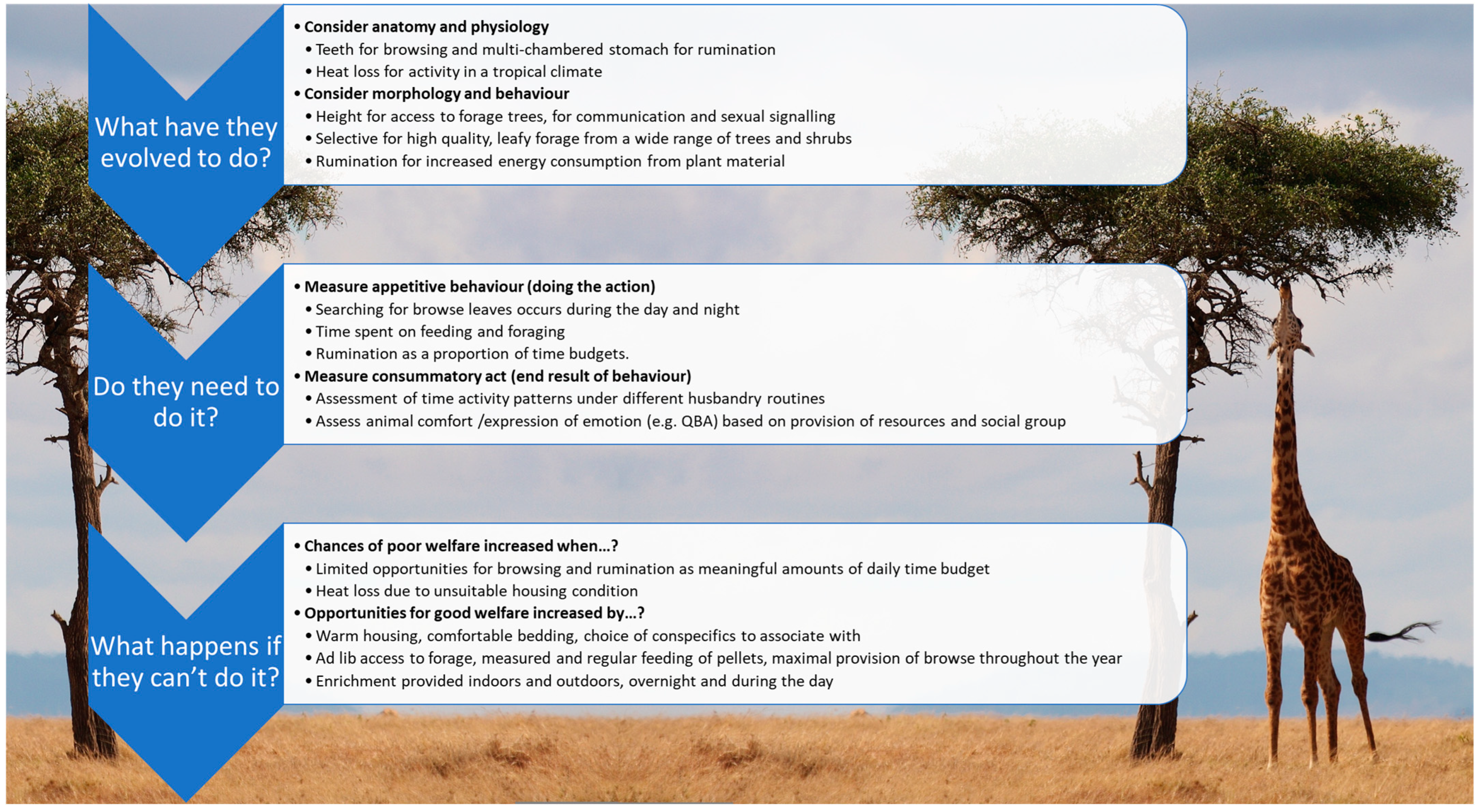 Jzbg 04 00039 g004 Jzbg 04 00039 g004