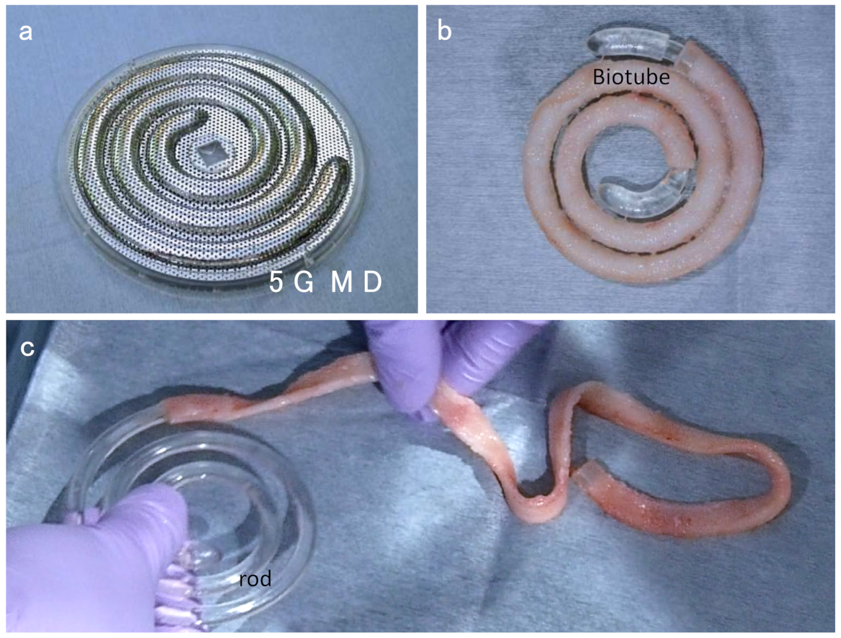 Kidneydial 01 00002 g002
