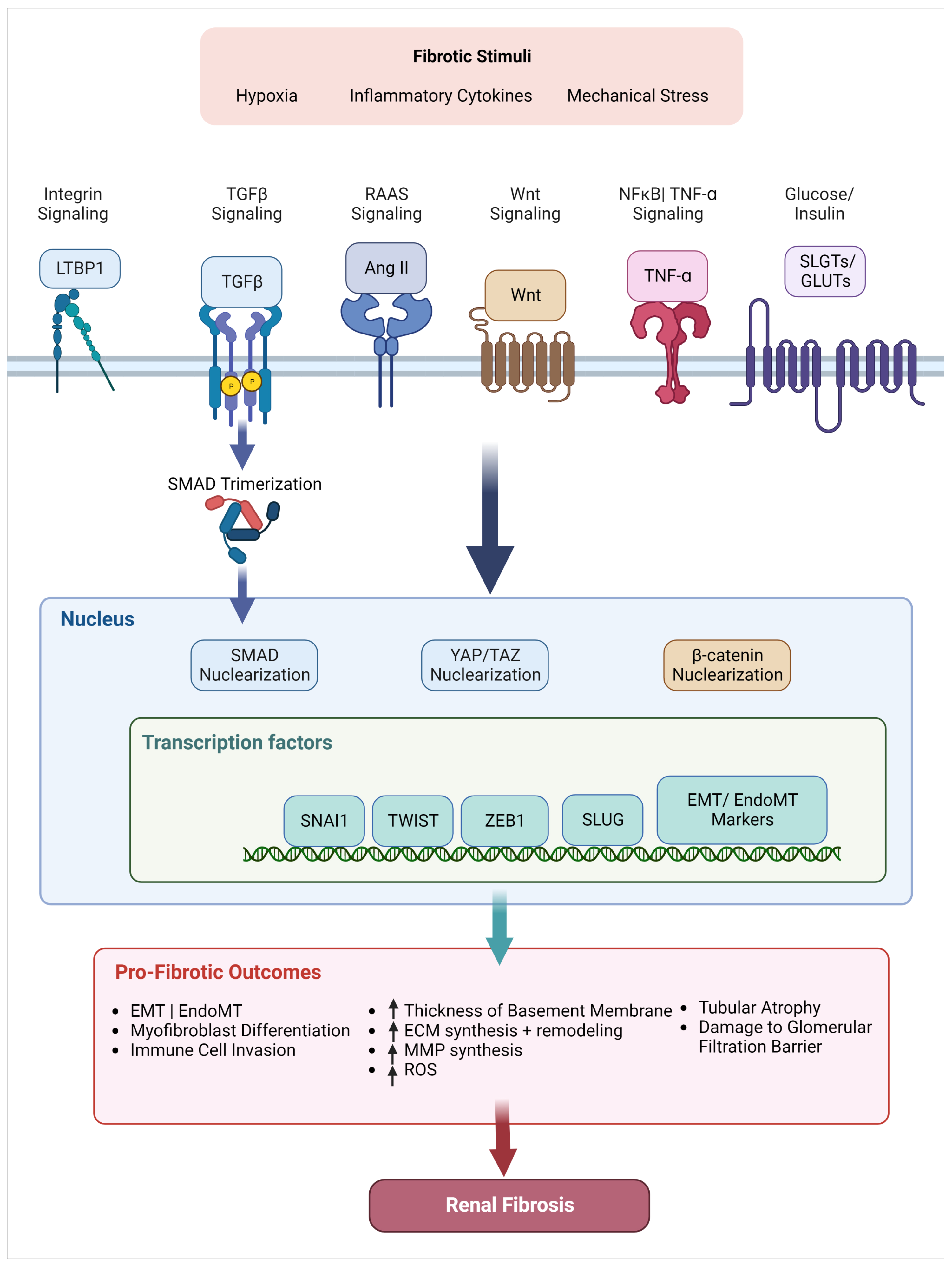 Kidneydial 02 00055 g003 Kidneydial 02 00055 g003