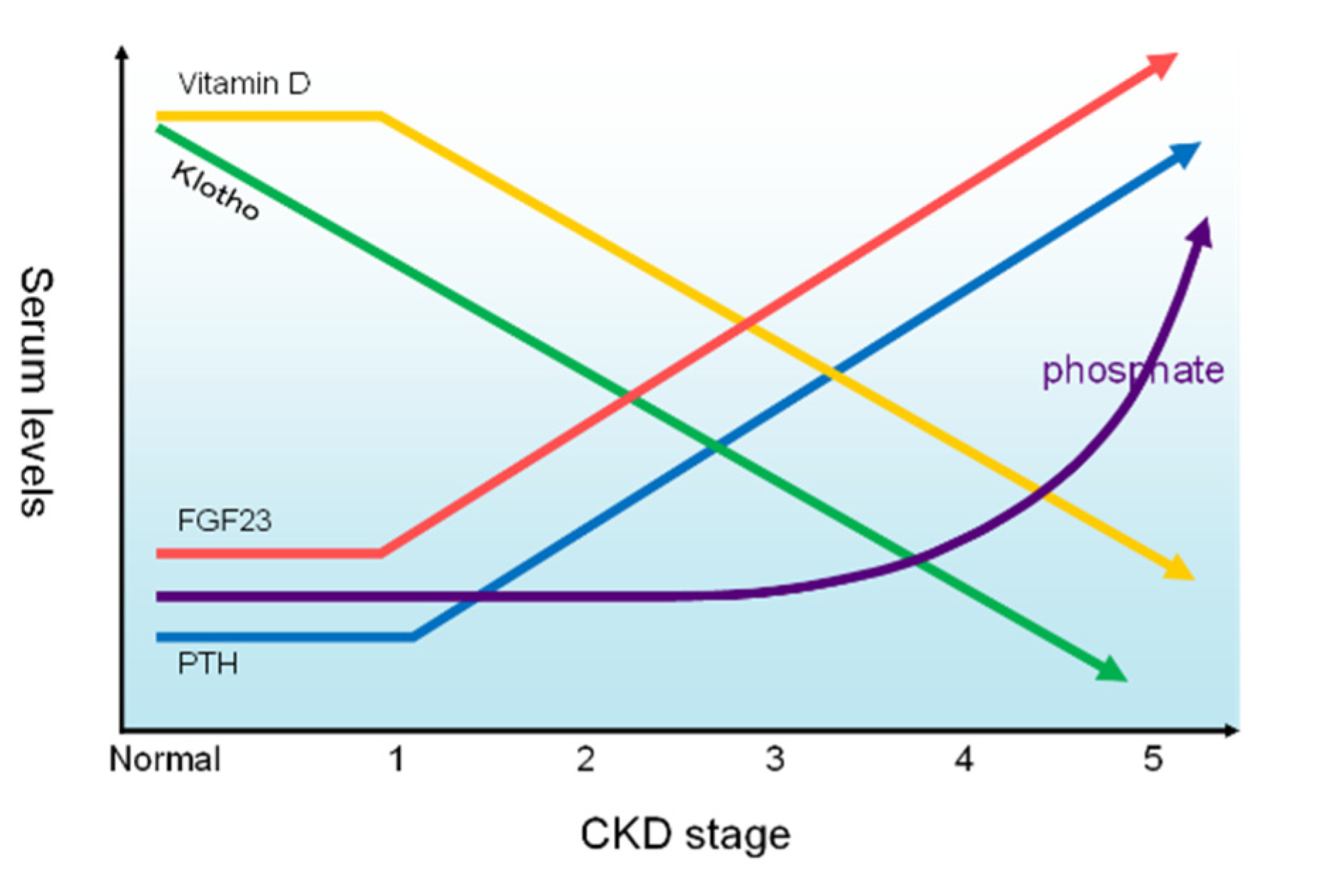 Kidneydial 03 00004 g001 Kidneydial 03 00004 g001