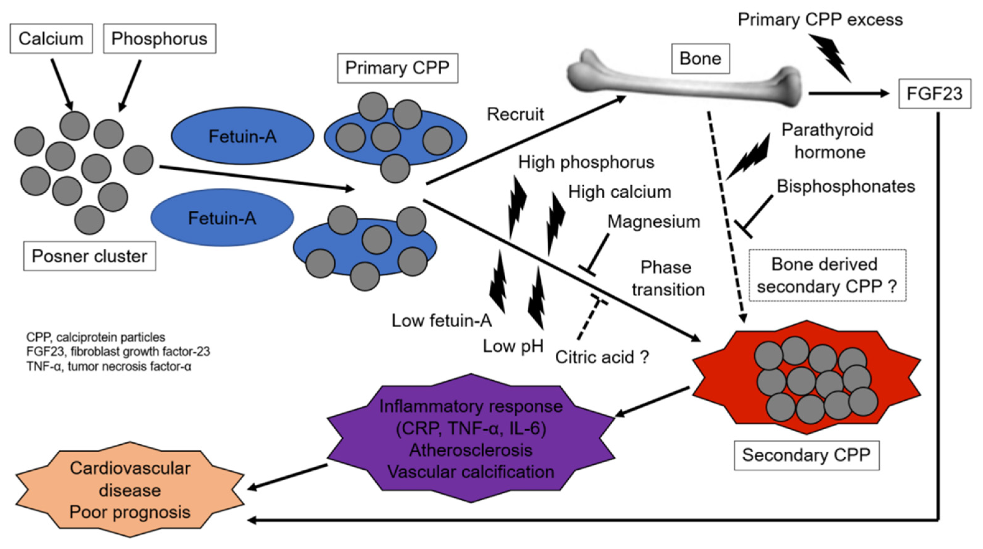 Kidneydial 03 00004 g002 Kidneydial 03 00004 g002