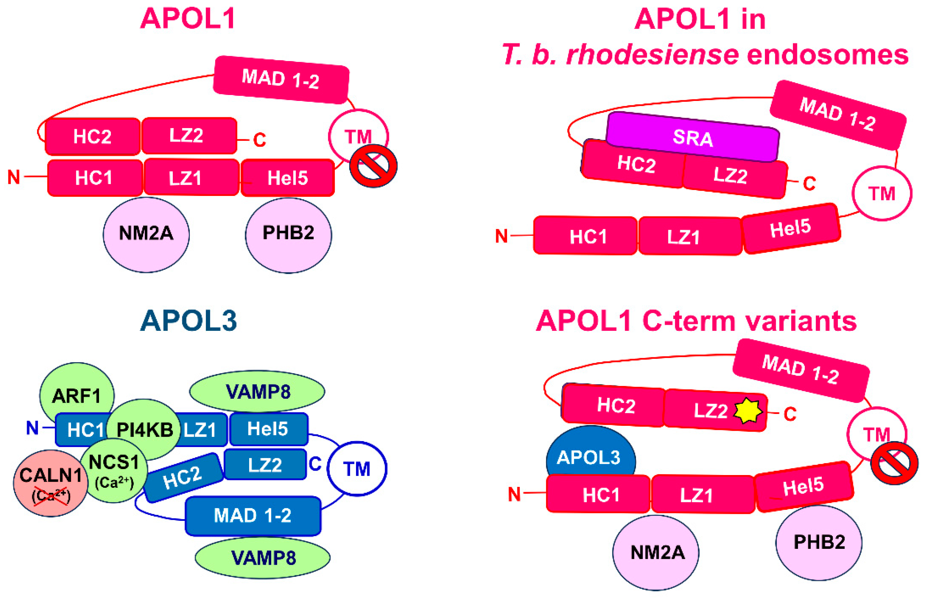 Kidneydial 04 00010 g001 Kidneydial 04 00010 g001