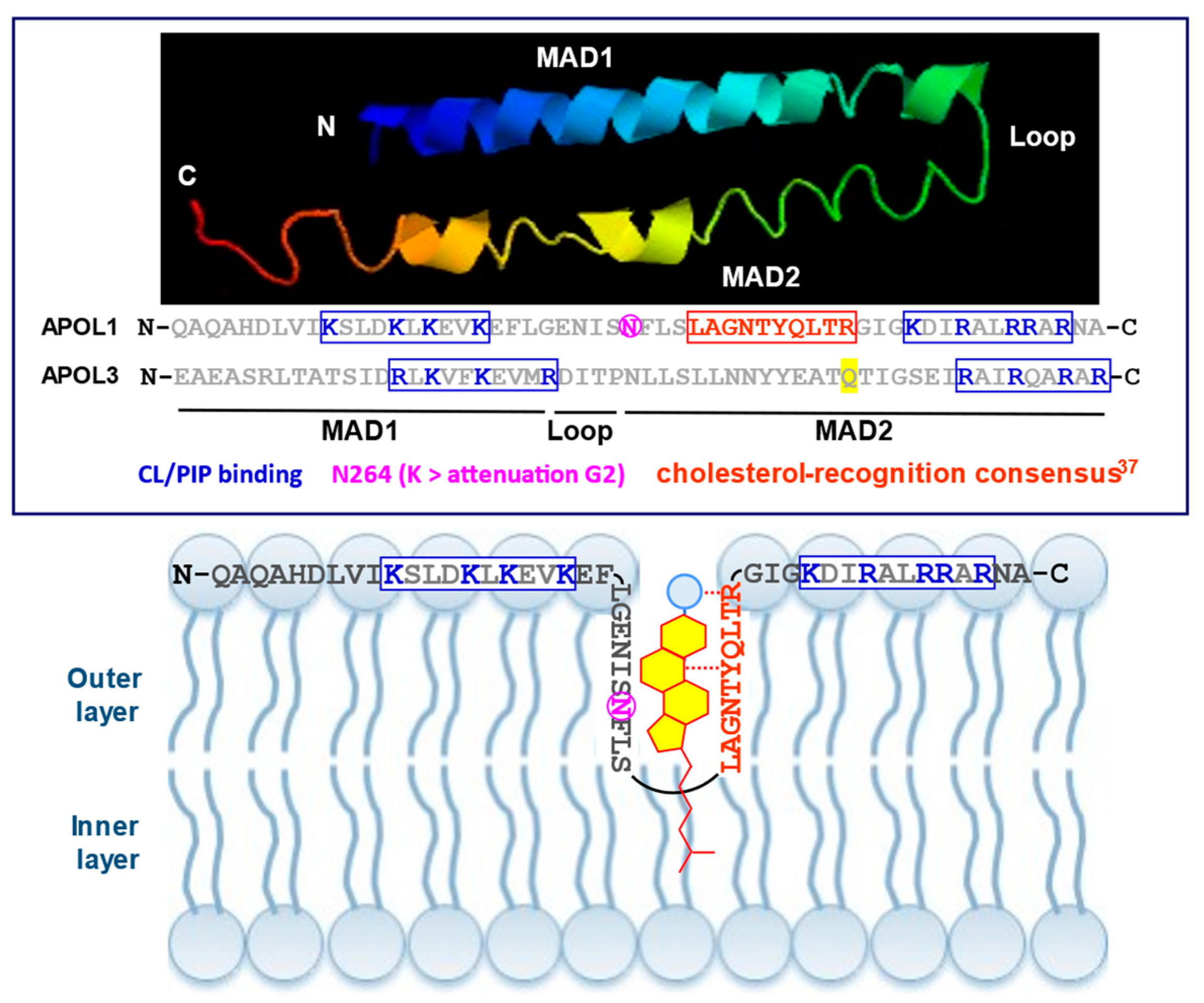 Kidneydial 04 00010 g005 Kidneydial 04 00010 g005
