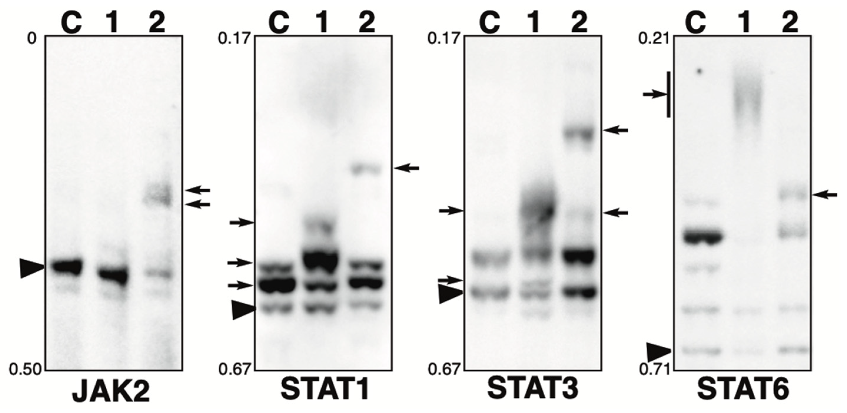 Kinasesphosphatases 02 00014 g003