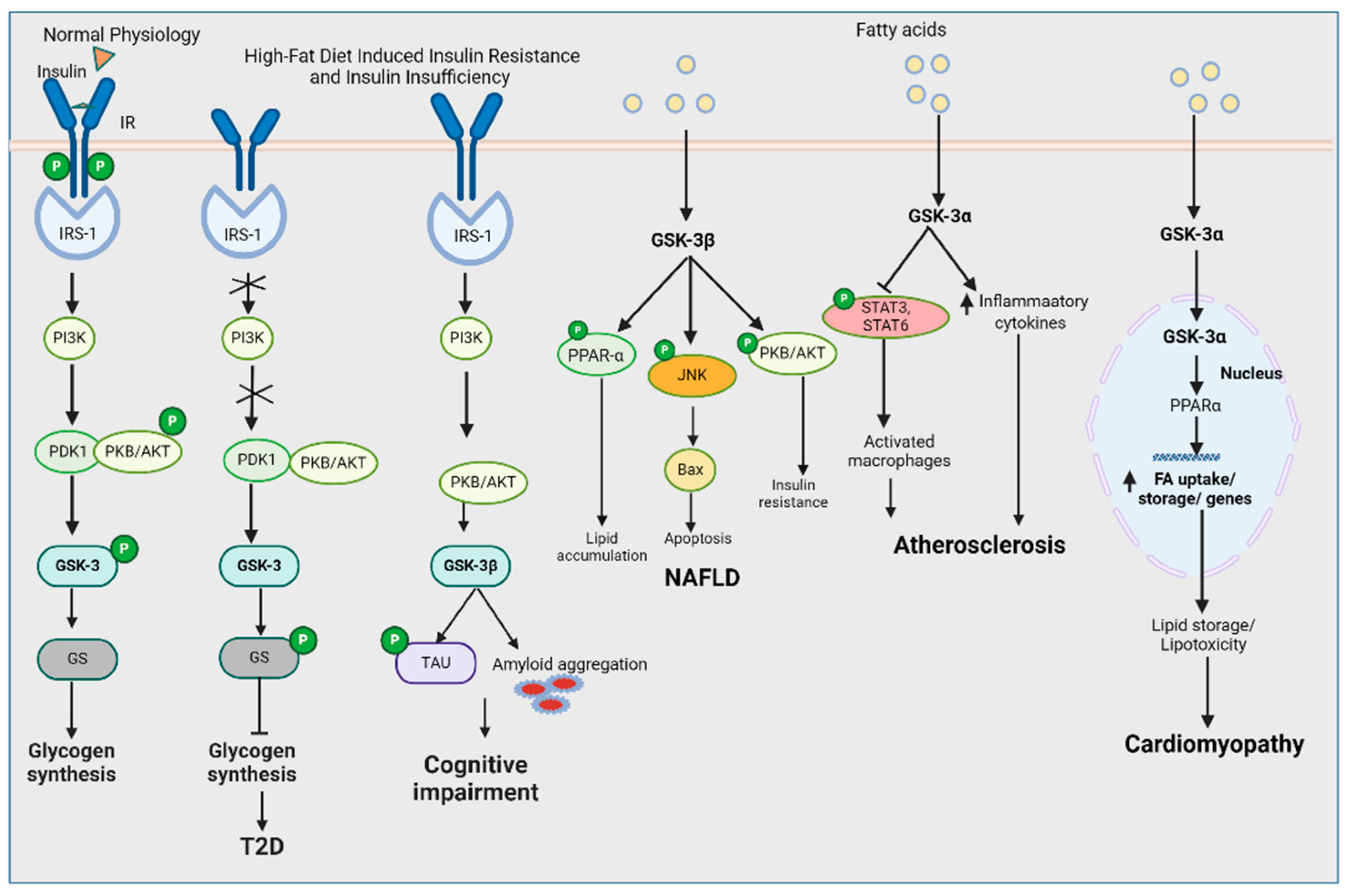 Kinasesphosphatases 02 00018 g002